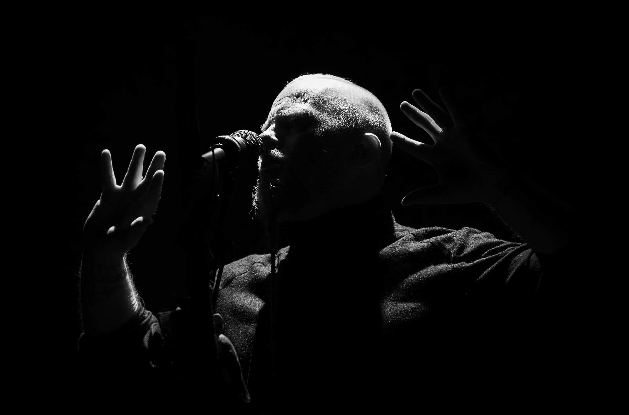 Wardruna
