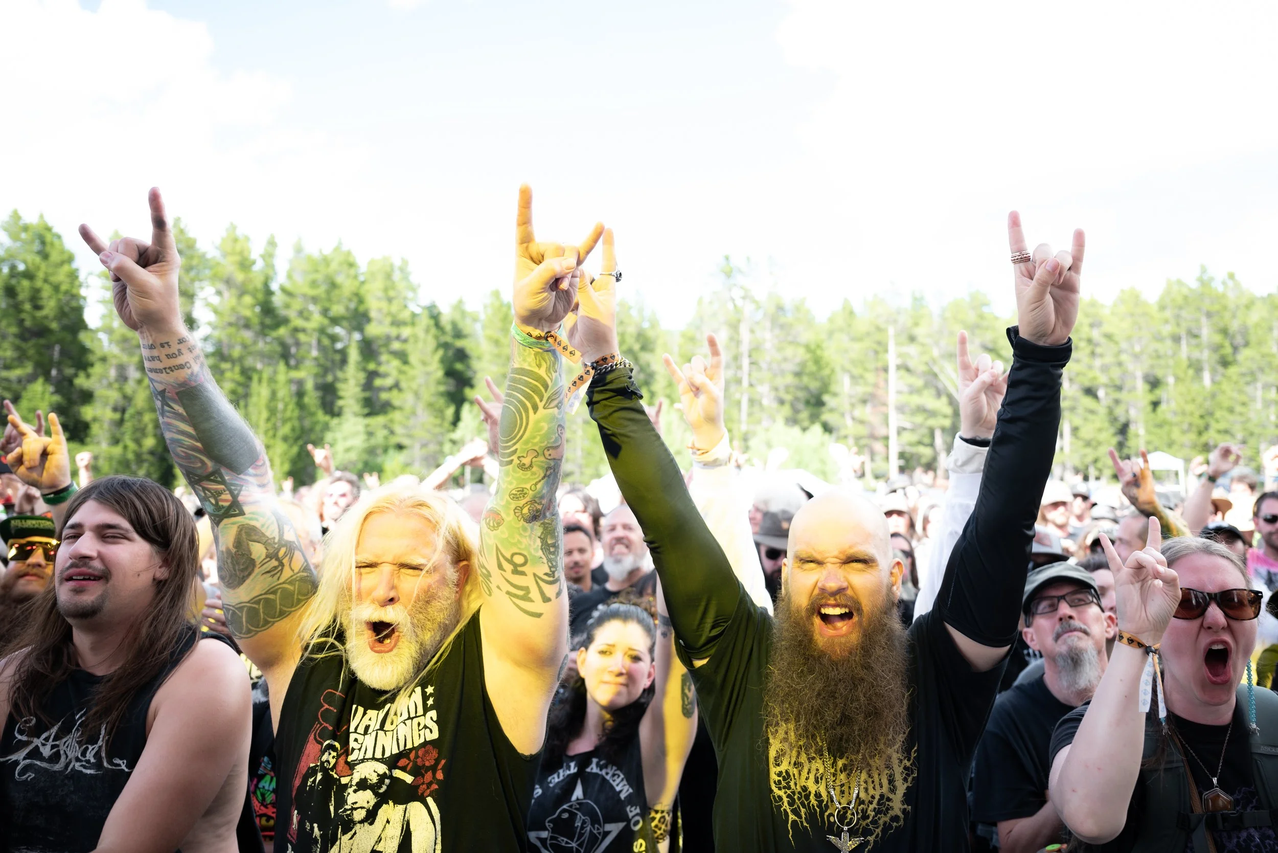 Festival Grounds