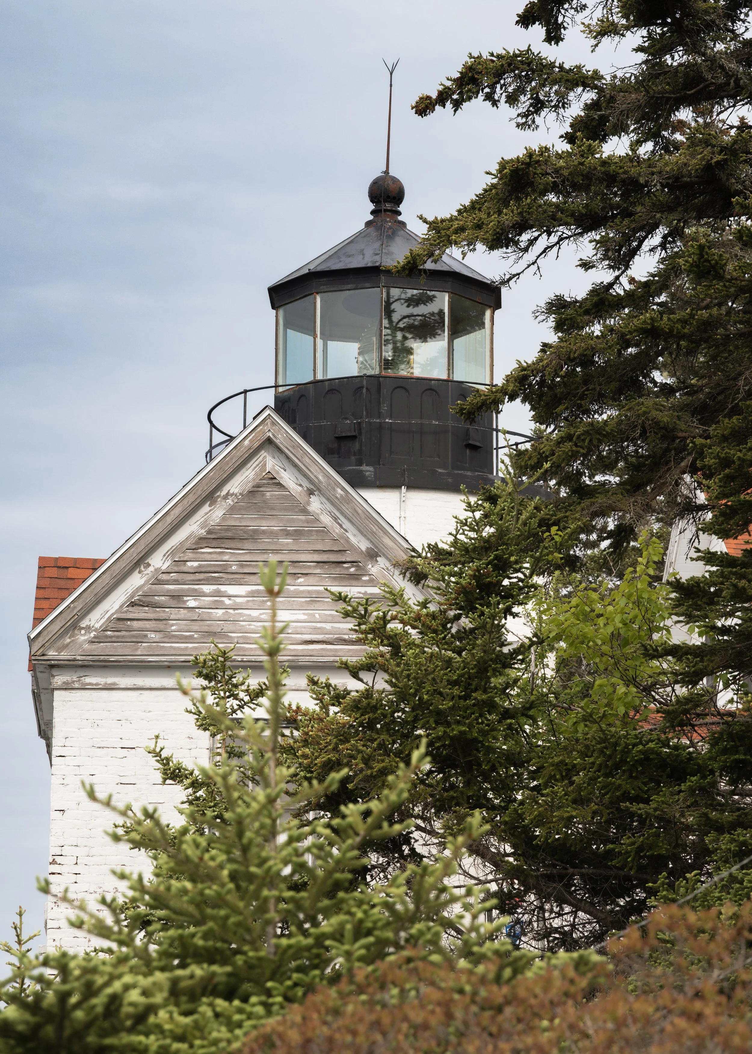 Acadia, June 2026