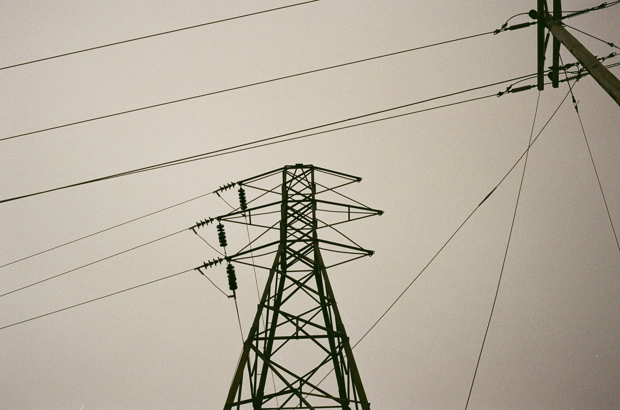 Concord, April 2026 (Leica M6)