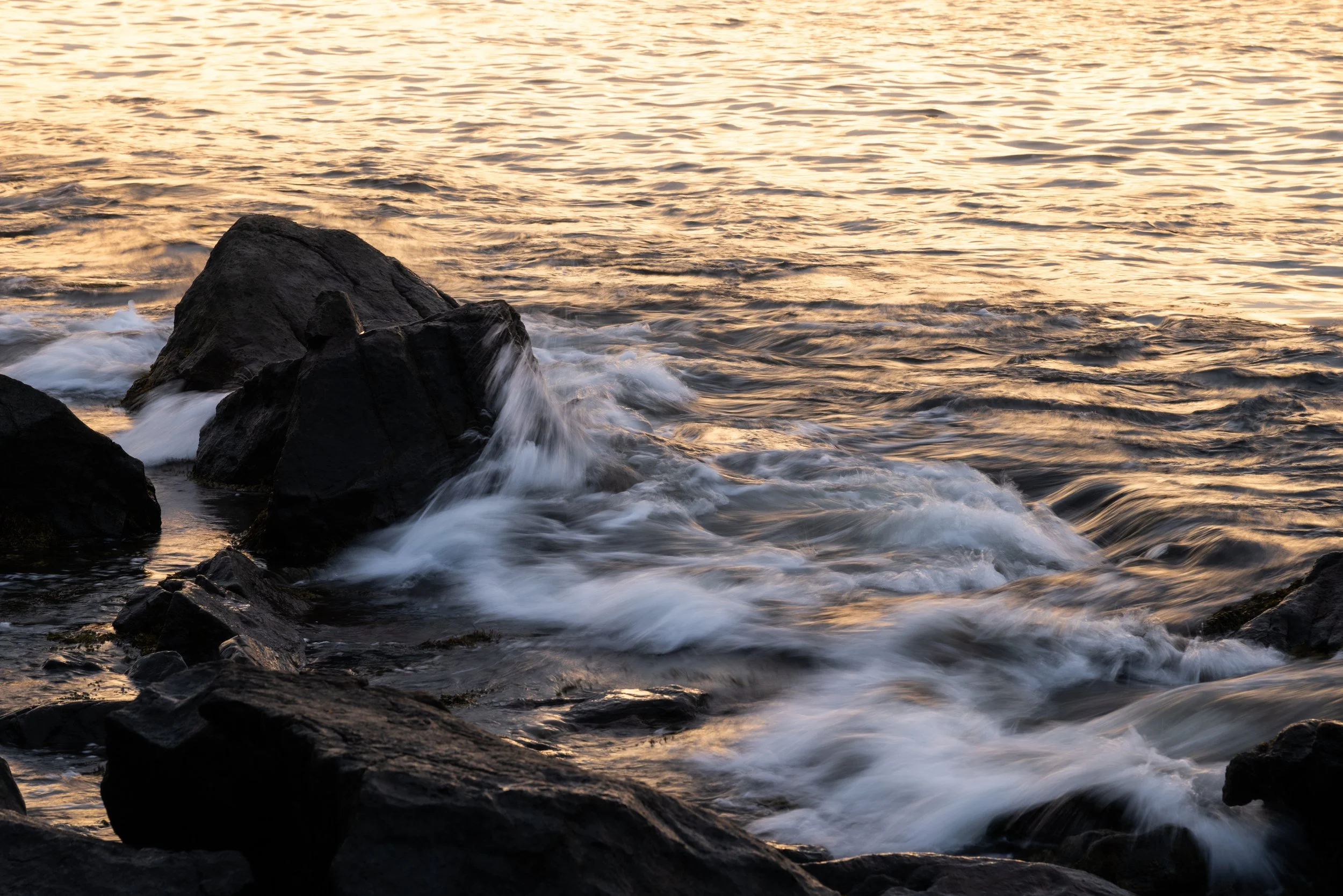 Acadia, June 2026