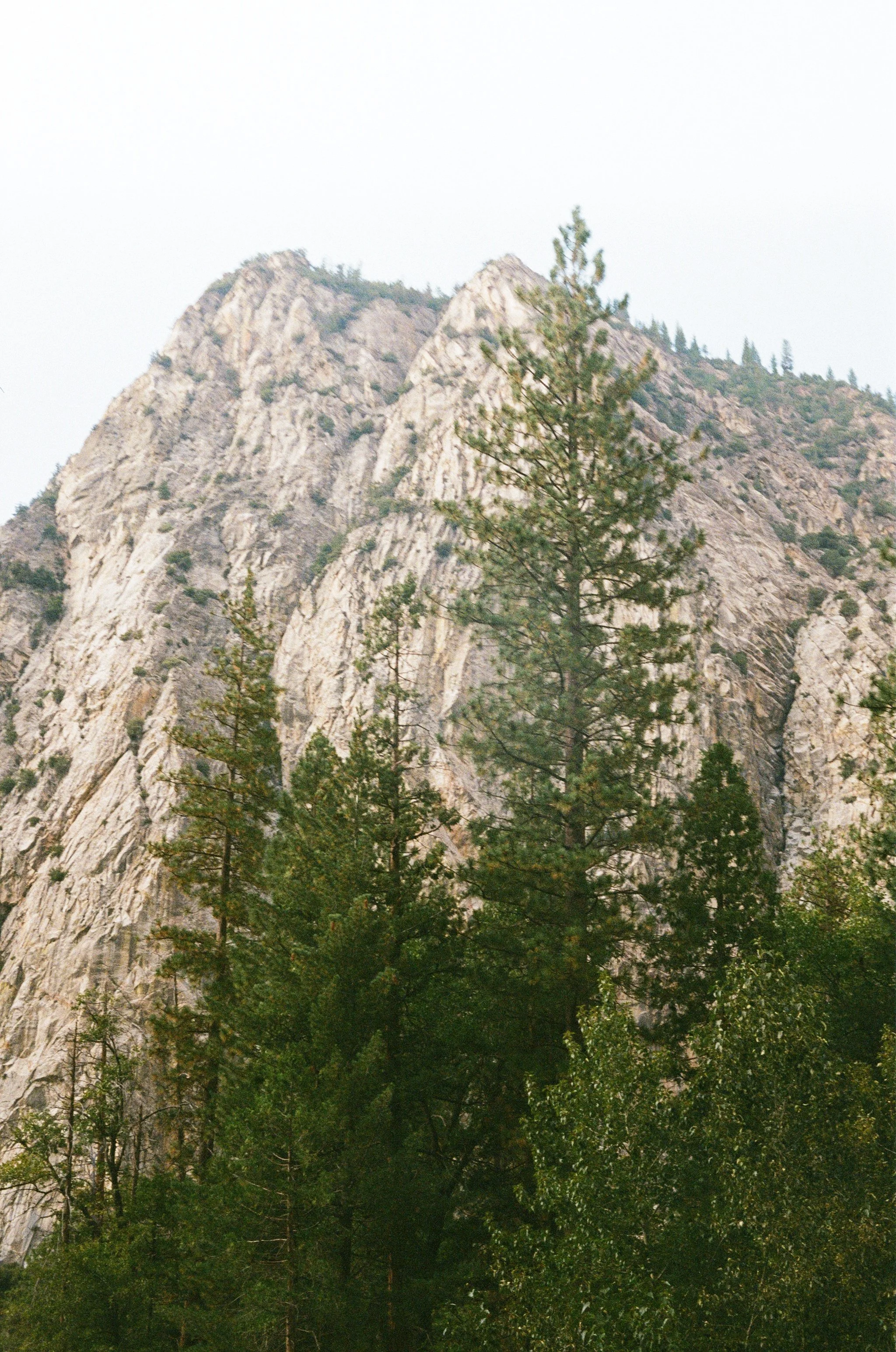 Kings Canyon National Park, September 2025 (Leica IIIA)