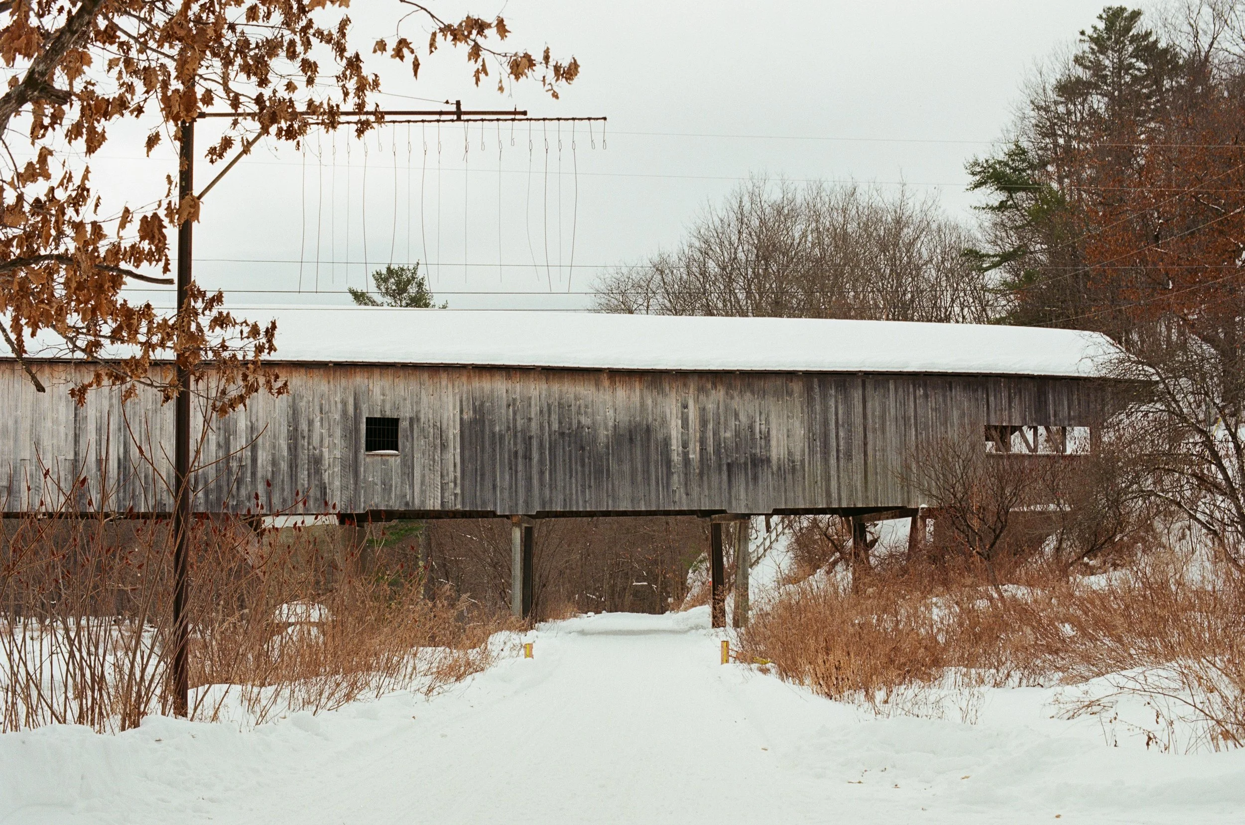 White Mountains, March 2026 (Nikon FM)