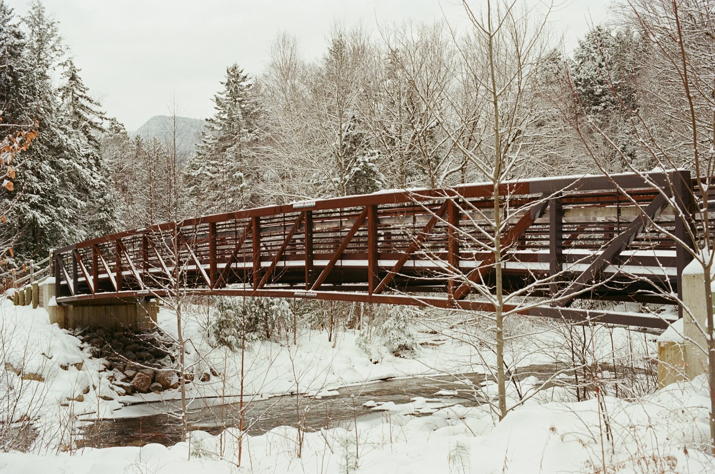 White Mountains, March 2026 (Nikon FM)