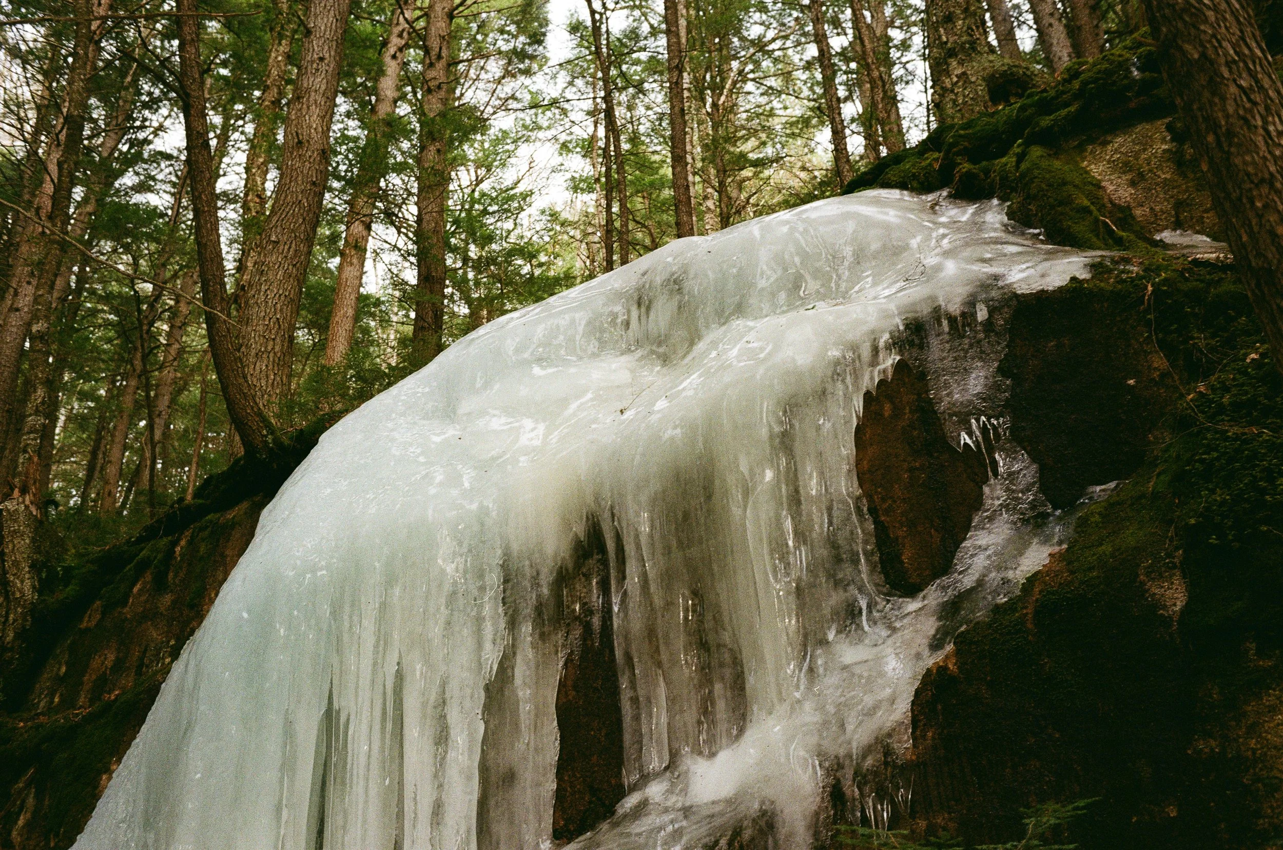 White Mountains, April 2026 (Leica M6)