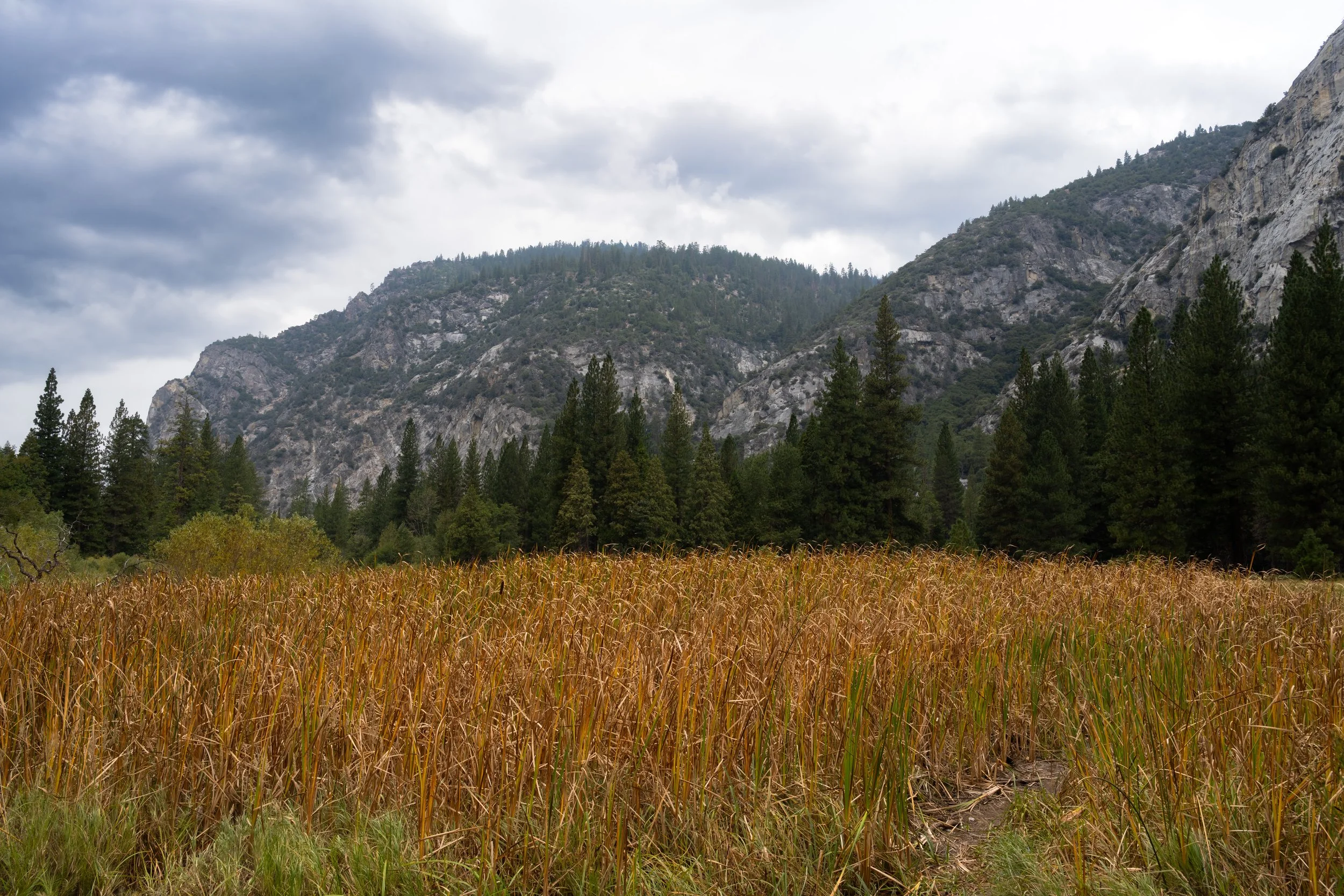 Kings Canyon, September 2025