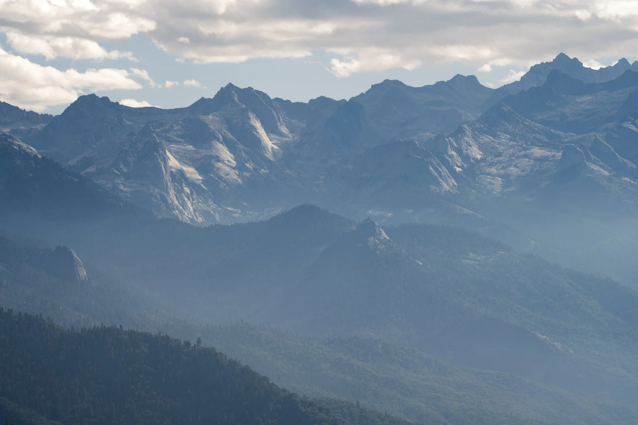 Sequoia, September 2025