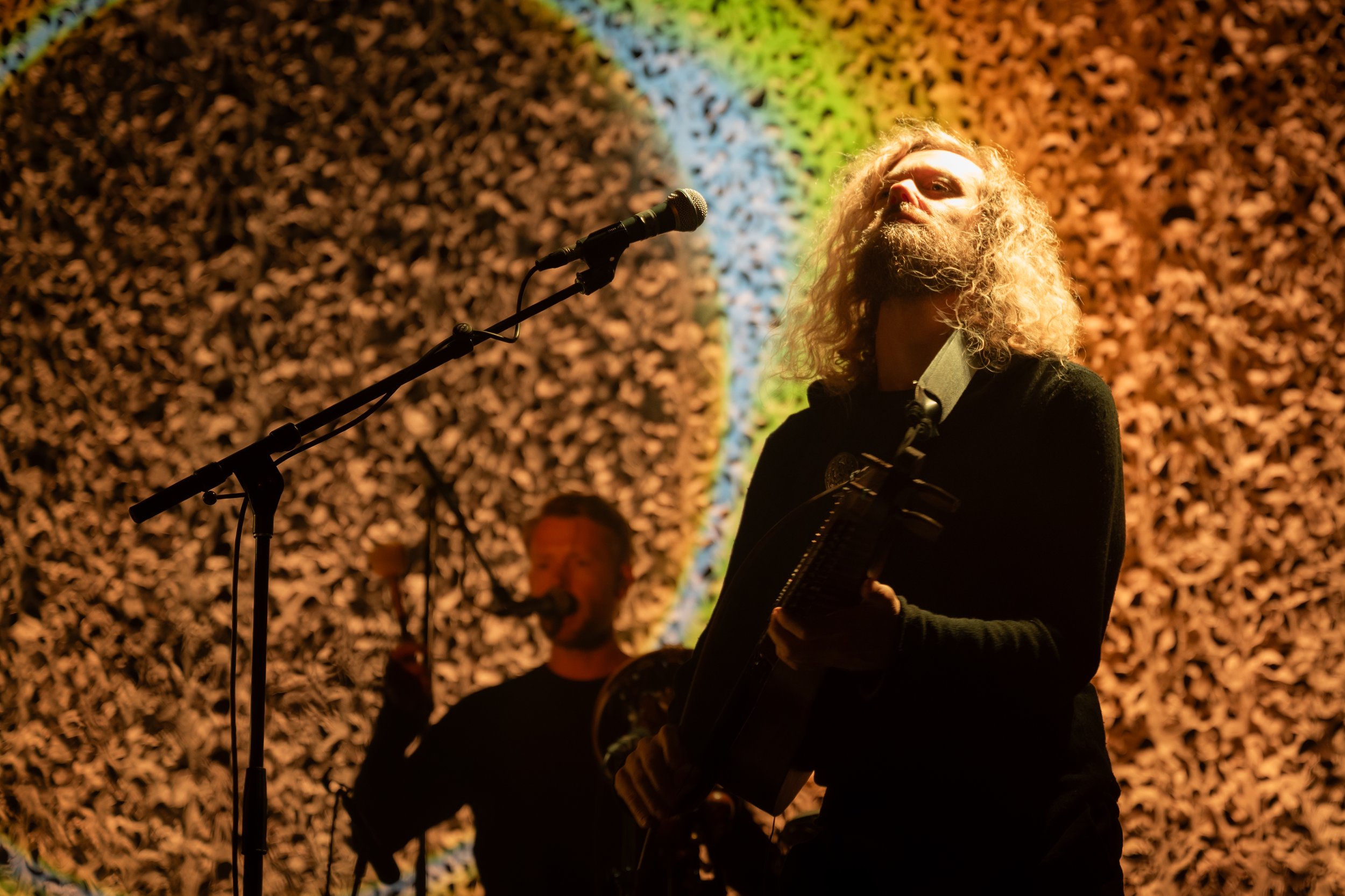 Wardruna