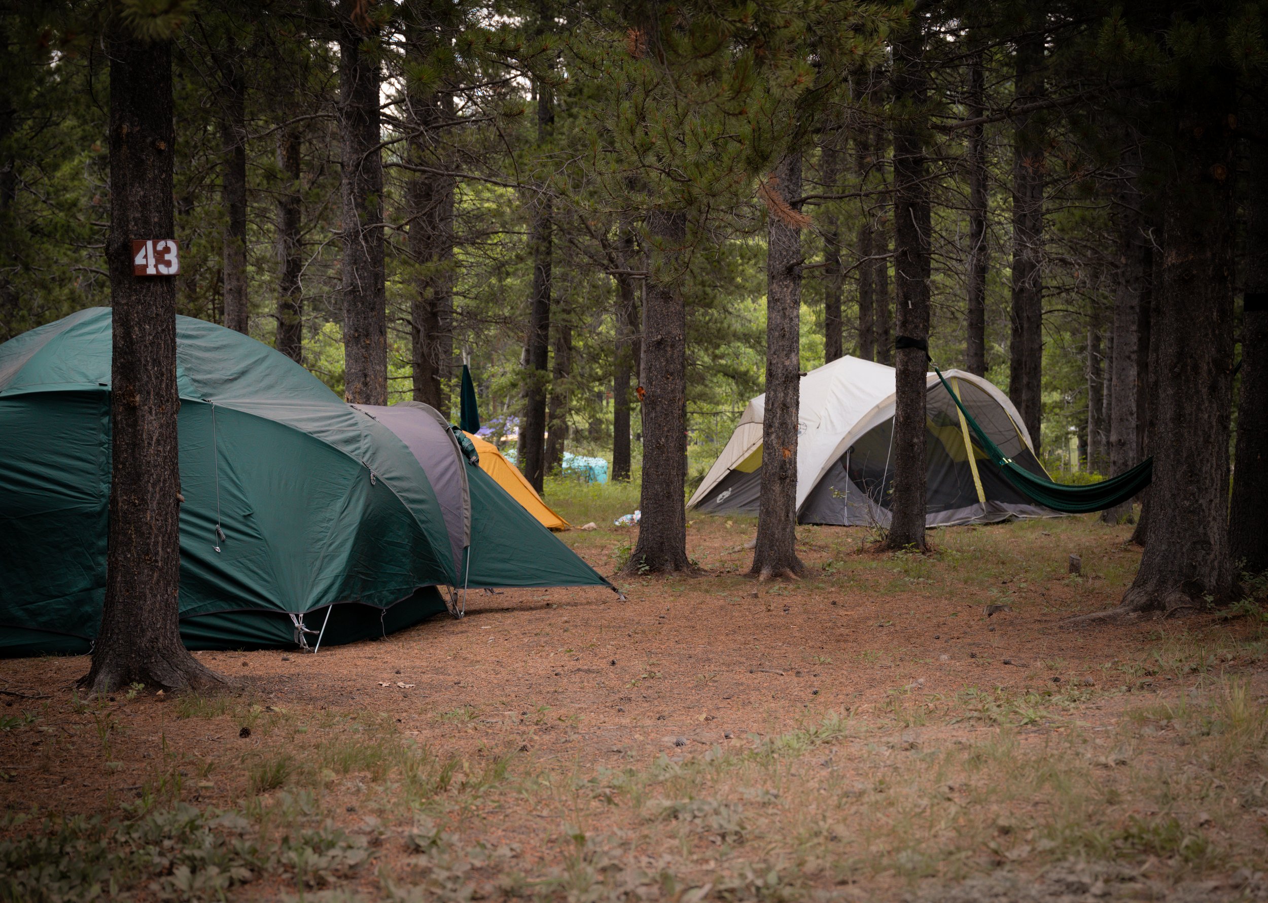Festival Grounds