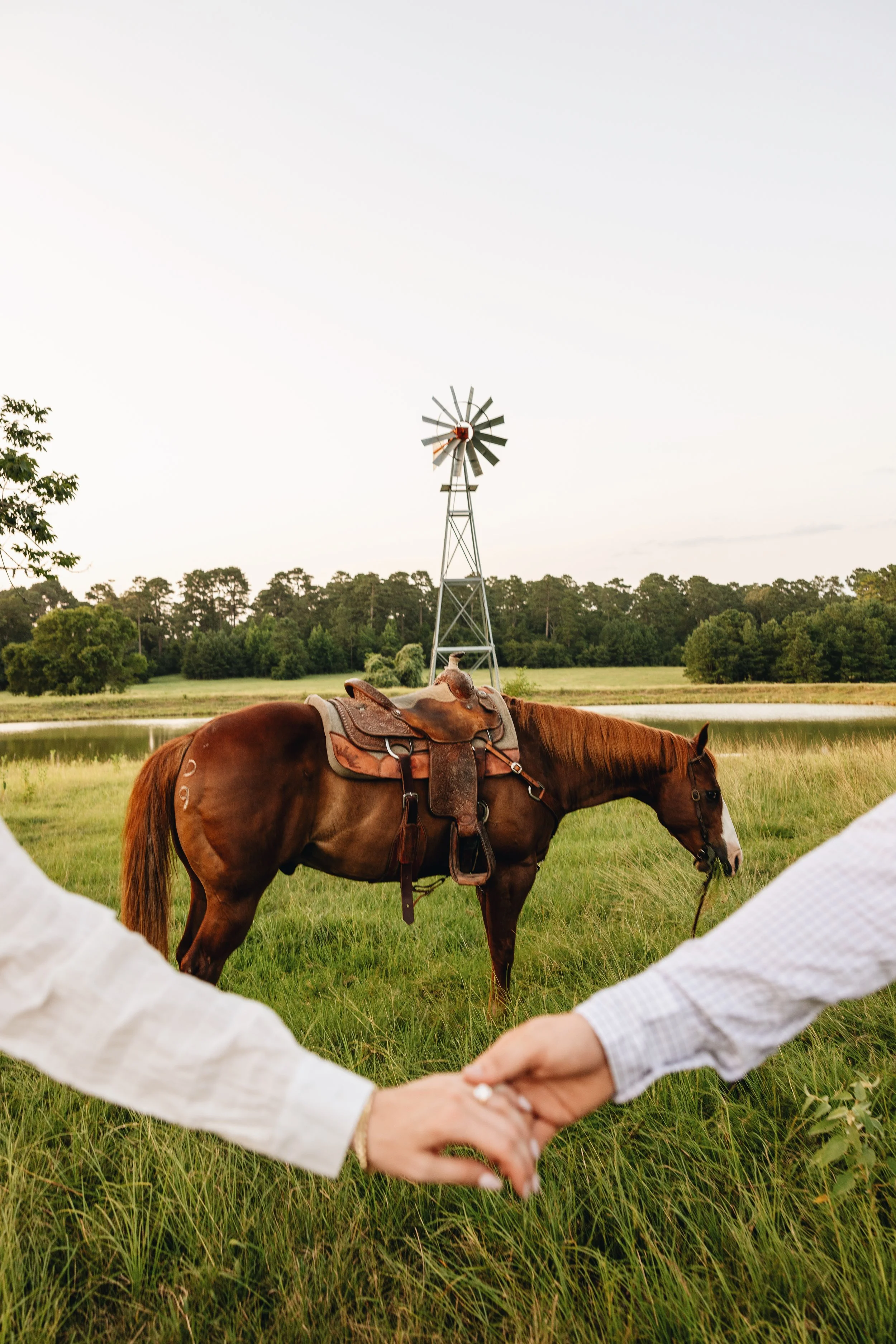 Two people holding hands in a circle, with a horse in the background and a windmill in a rural landscape.