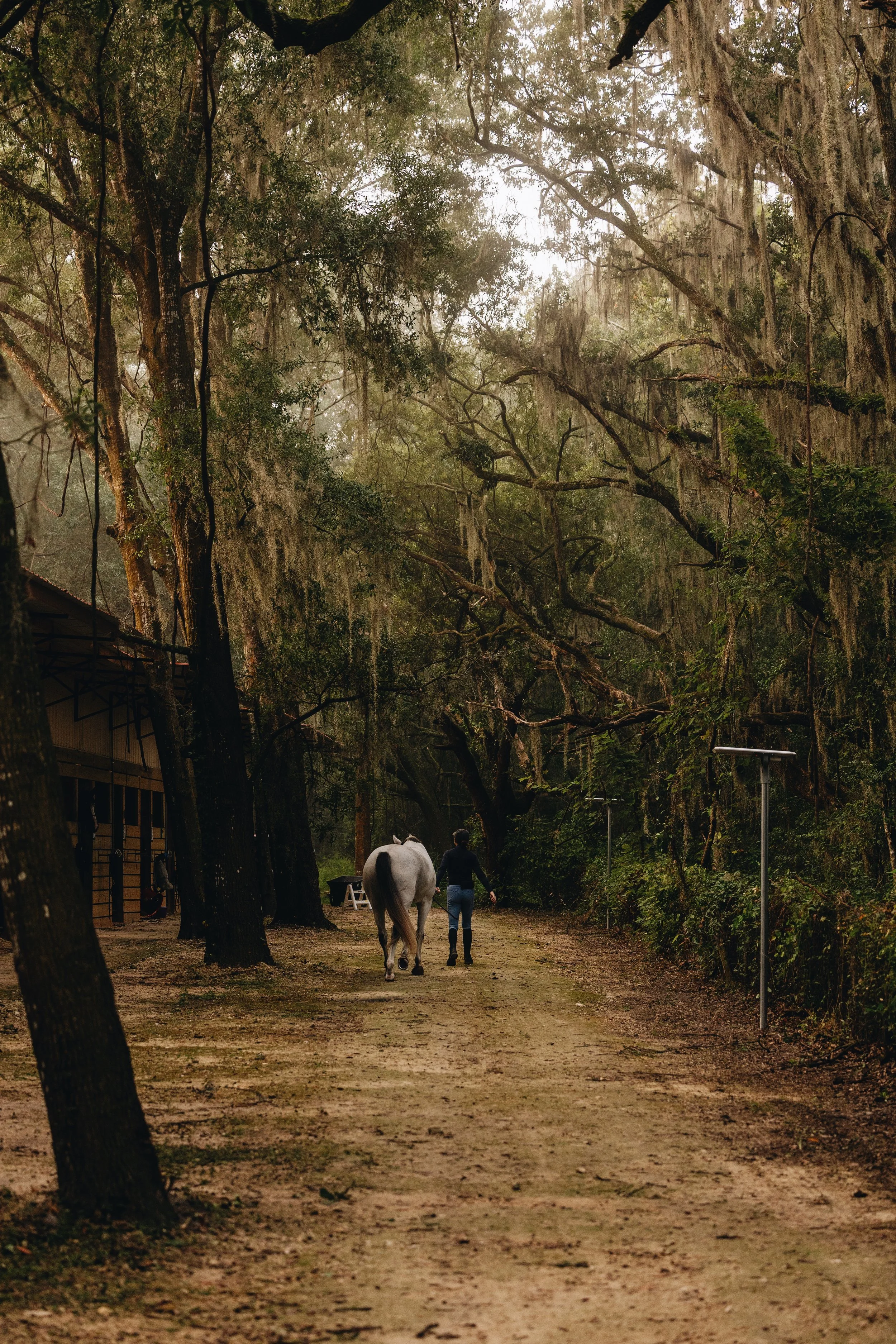 8Z2A9986_VSCO.JPG