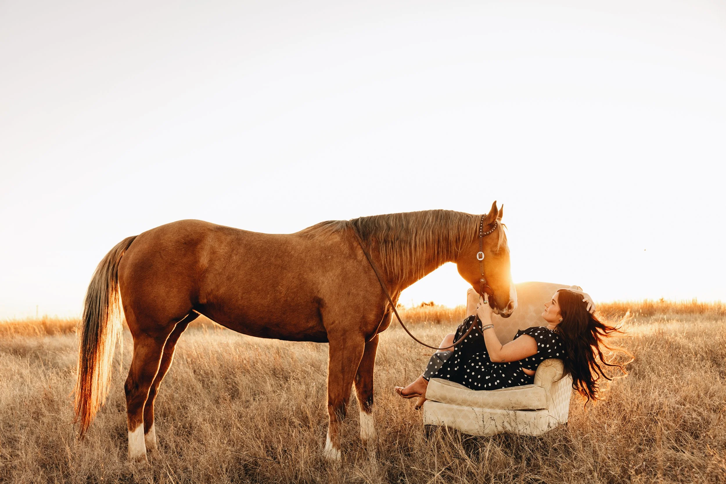 A woman with long dark hair and a polka dot dress is sitting on an old chair in a field, holding the head of a large brown horse with a cream-colored mane during sunset.