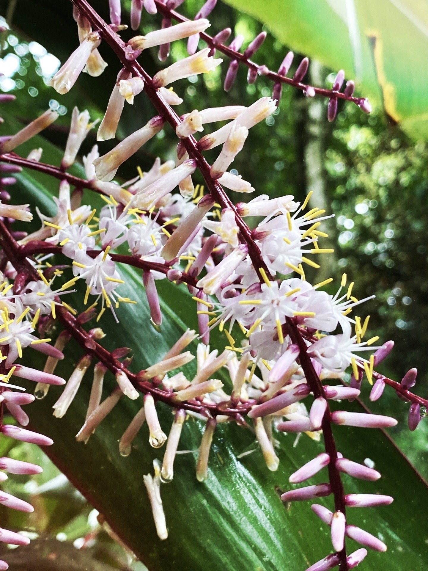 Think like a Goddess