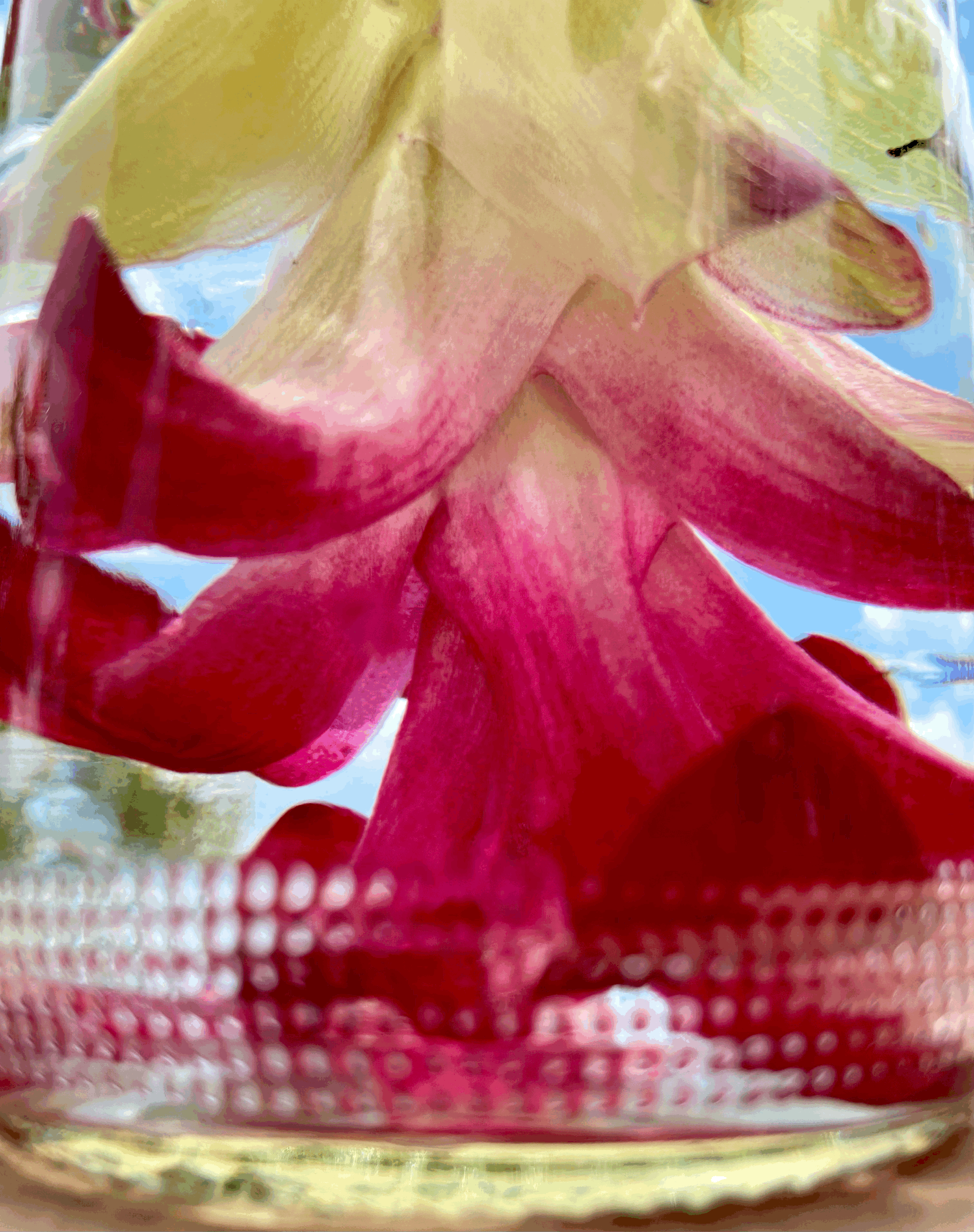 Relate & Relationships