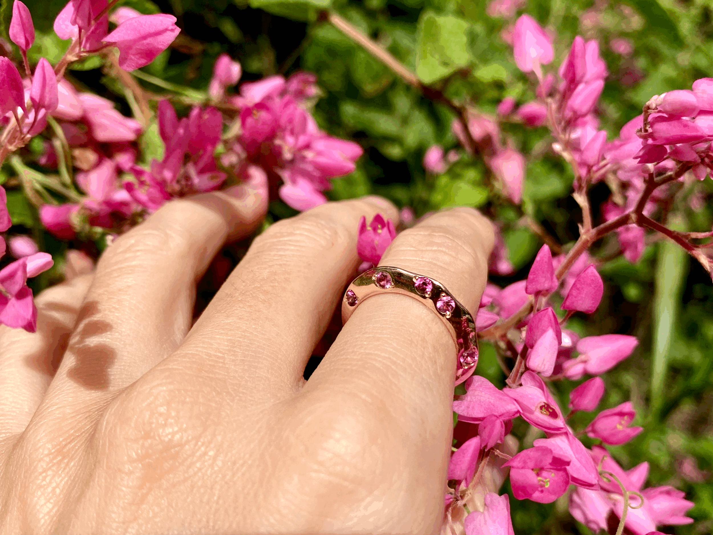 Aurora Portal of New Earth Innovation