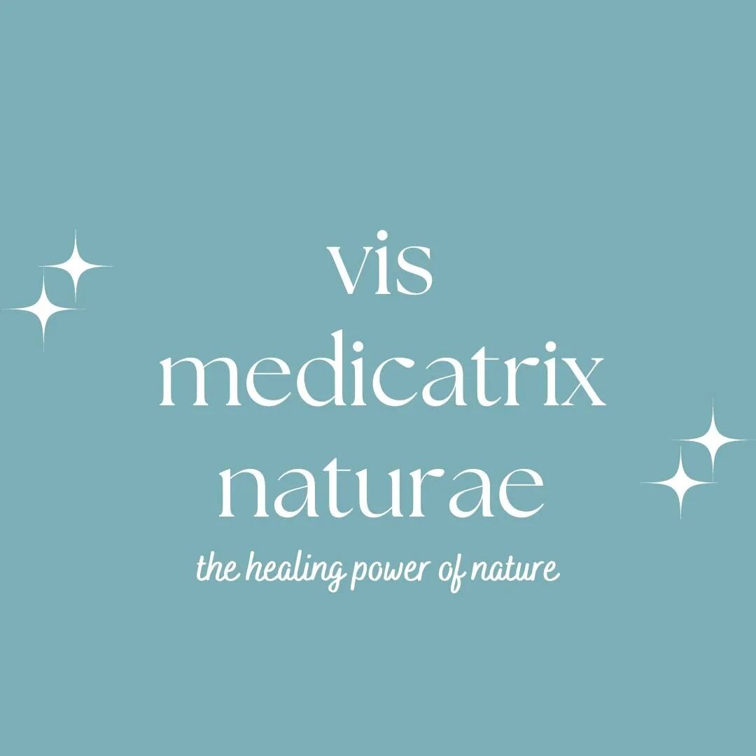 ✨ vis medicatrix naturae ✨⁠
~ the healing power of nature ~⁠
⁠
The first of the Naturopathic Principles and I just absolutely love it. It reminds me of just how powerful it is to come back to nature, to come back to the basics, and find balance. ⁠
⁠
