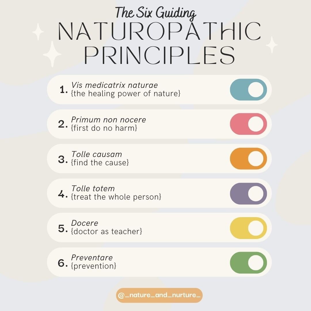 ✨⁠ {The Six Guiding Naturopathic Principles} ✨⁠

Over the next week or so I am going to be sharing all about how these 6 principles guide Naturopathic consultations and care.

I'll dive into each one separately, so that each one gets the highlight it