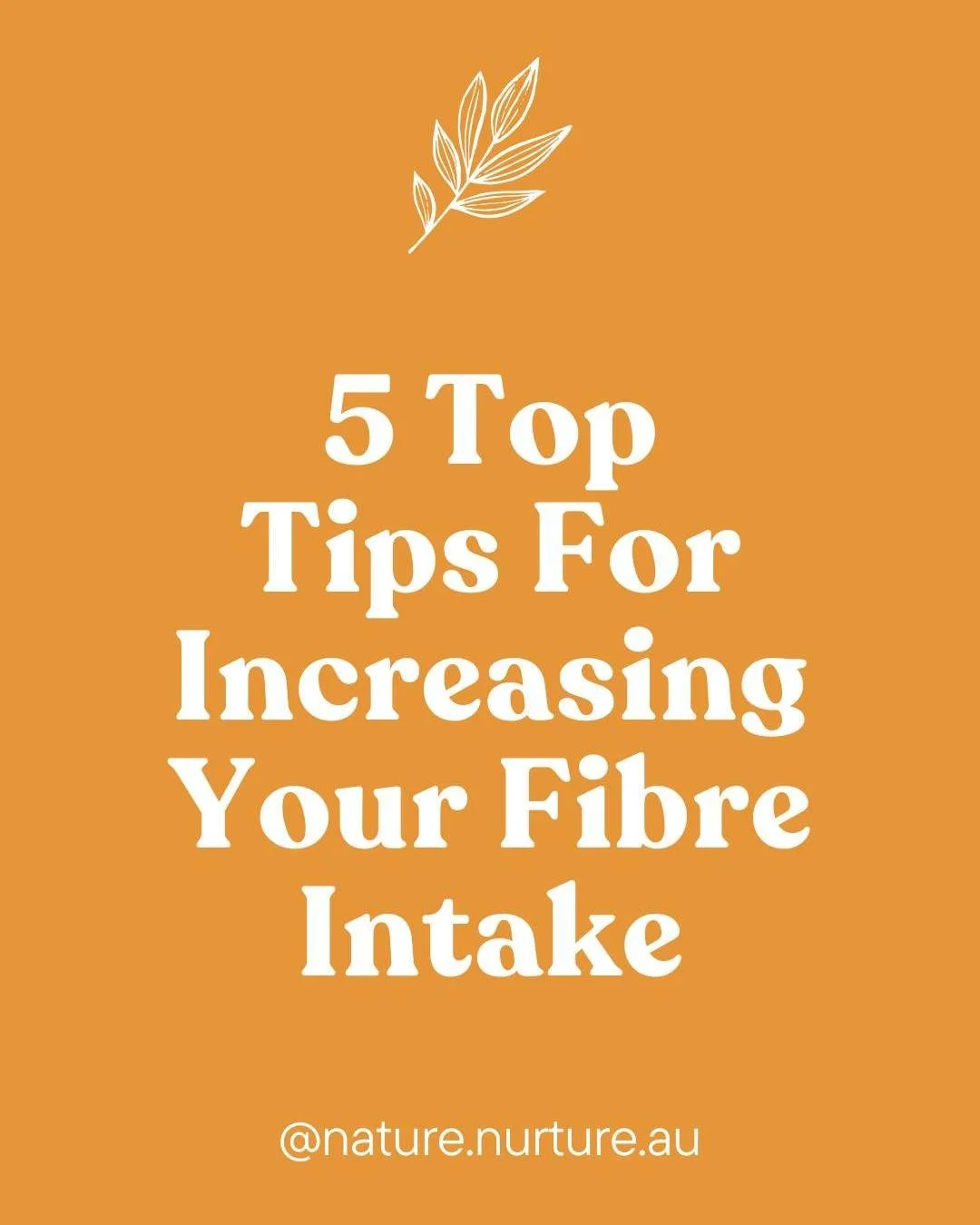 Here are a few gentle ways to increase your fibre intake, without overwhelming your gut:

1️⃣ Increase fibre gradually:
Slow and steady really matters here. Increasing fibre too quickly can lead to bloating and gas, so give your gut time to adjust as