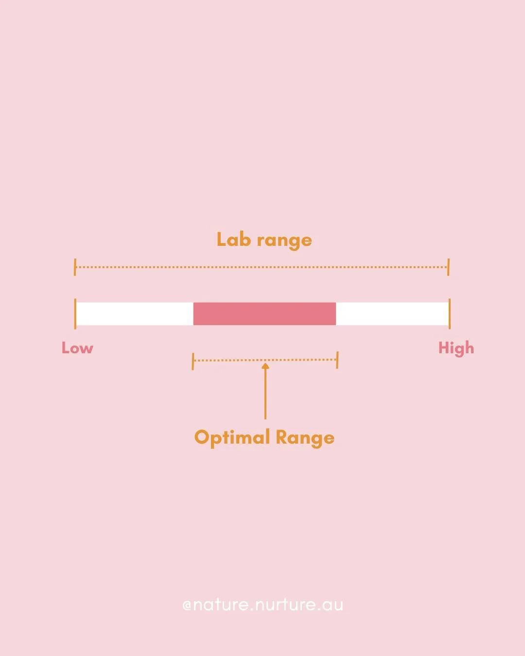 Did you know there&rsquo;s a difference between &ldquo;normal&rdquo; and &ldquo;optimal&rdquo; when it comes to your blood tests?

Because I see this all the time.

Someone is exhausted. Foggy. Losing hair. Anxious. Struggling with cycles.
They&rsquo