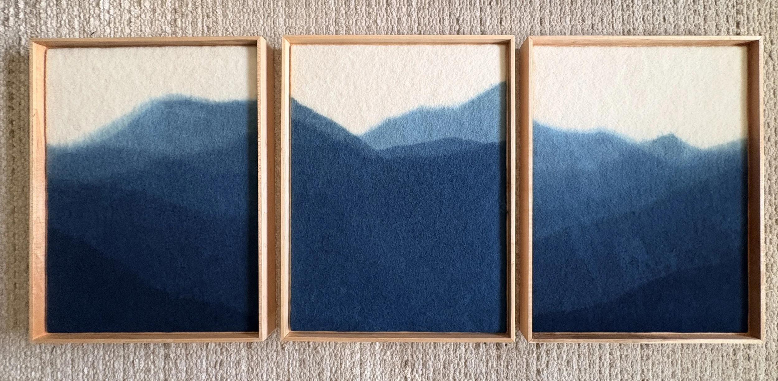 IMG_2082.jpeg (Copy) (Copy)