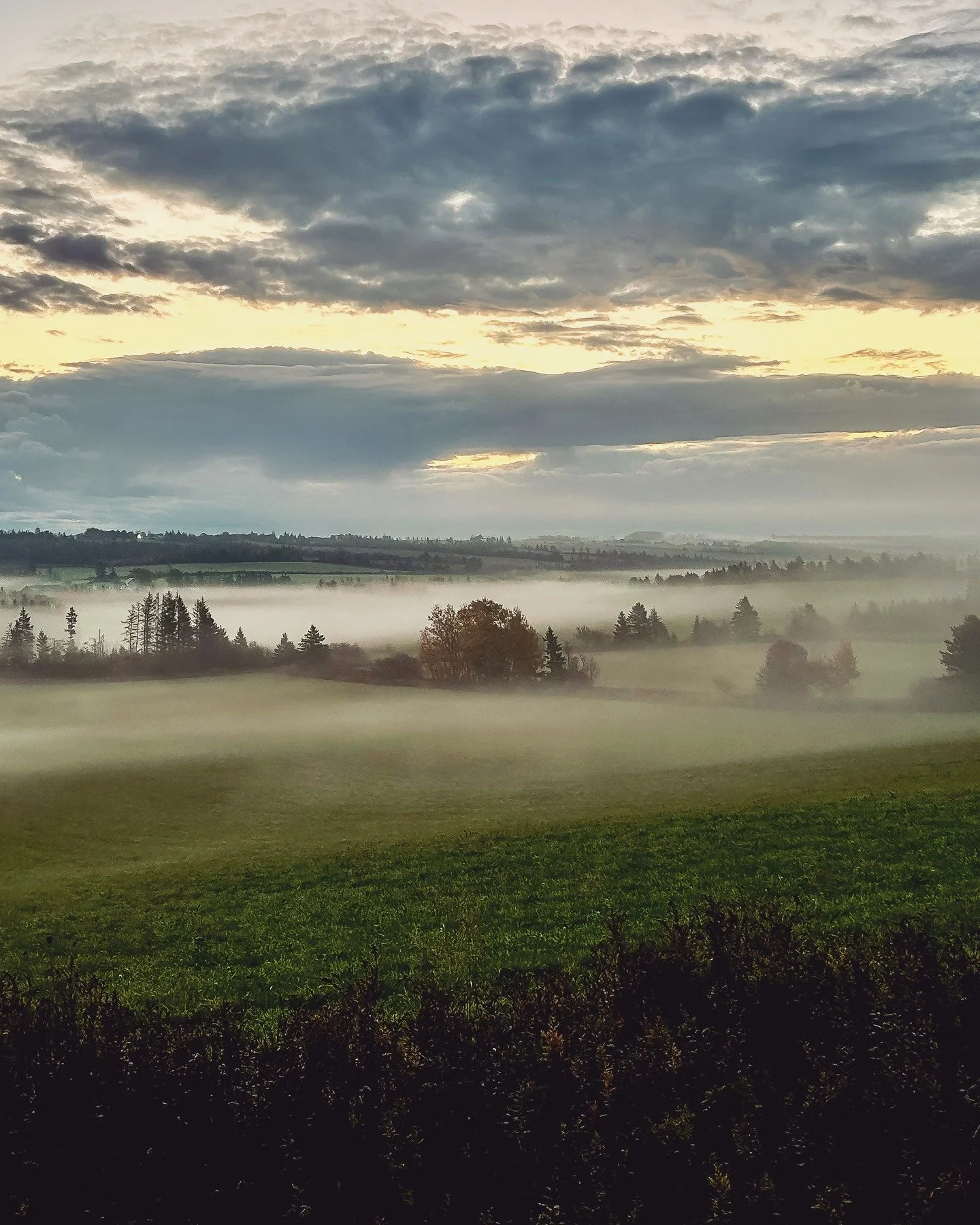 Kissed by a PEI morning mist 😘 

#princeedwardisland #atlanticcanada #vacationlikeyoumeanit #canada🇨🇦