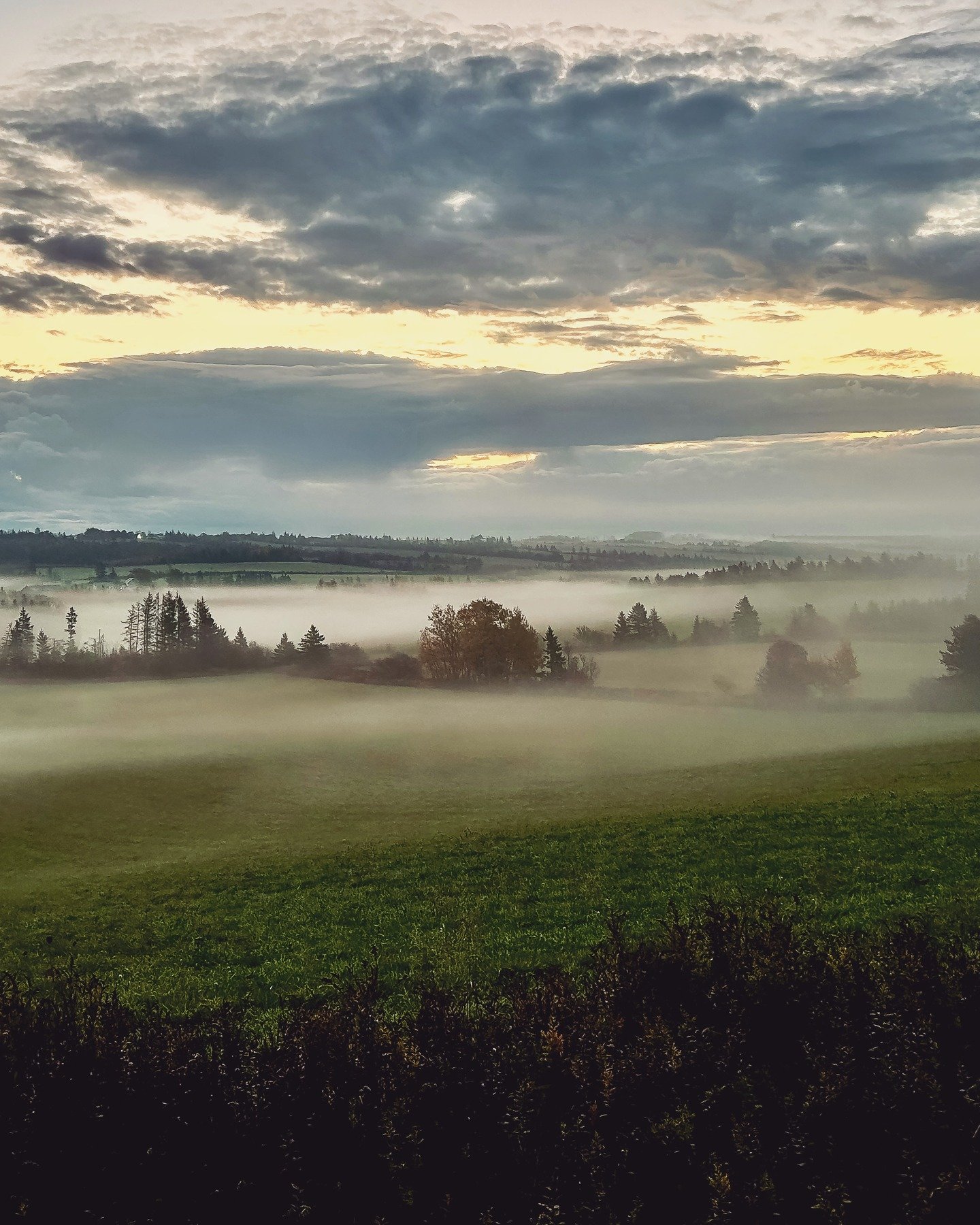 Kissed by a PEI morning mist 😘 

#princeedwardisland #atlanticcanada #vacationlikeyoumeanit #canada🇨🇦
