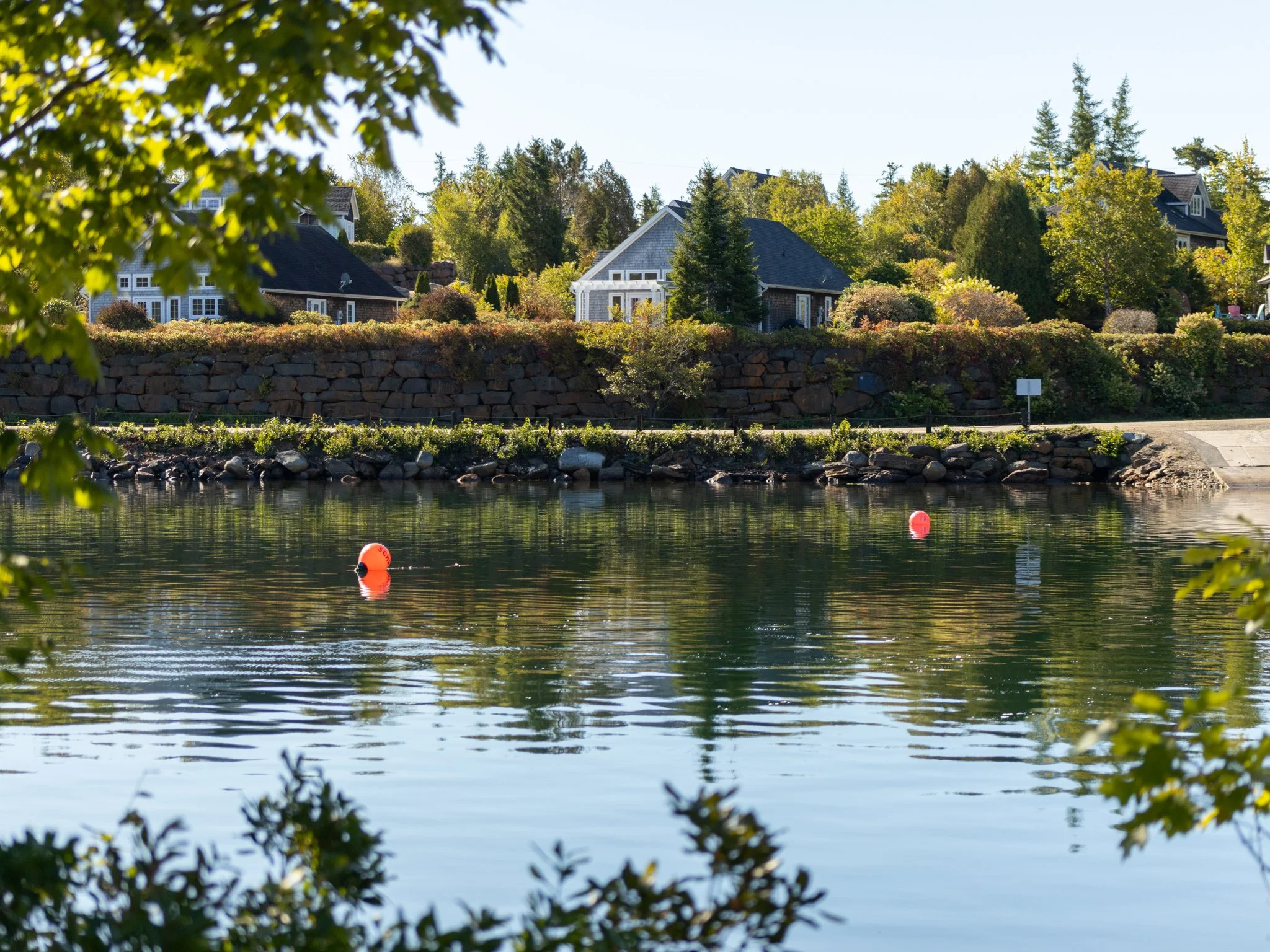 Copy of TheNest-9495.jpg