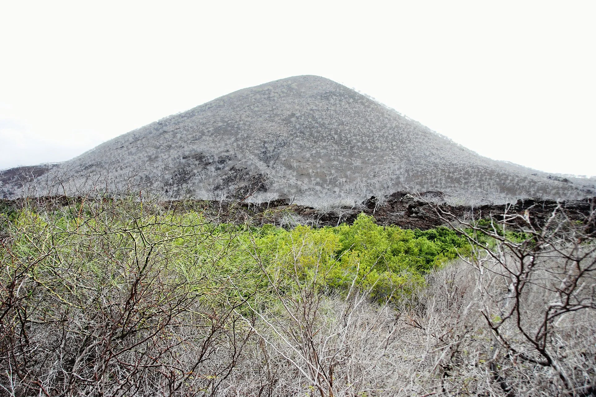 11-Galapagos-abisingmin.jpg