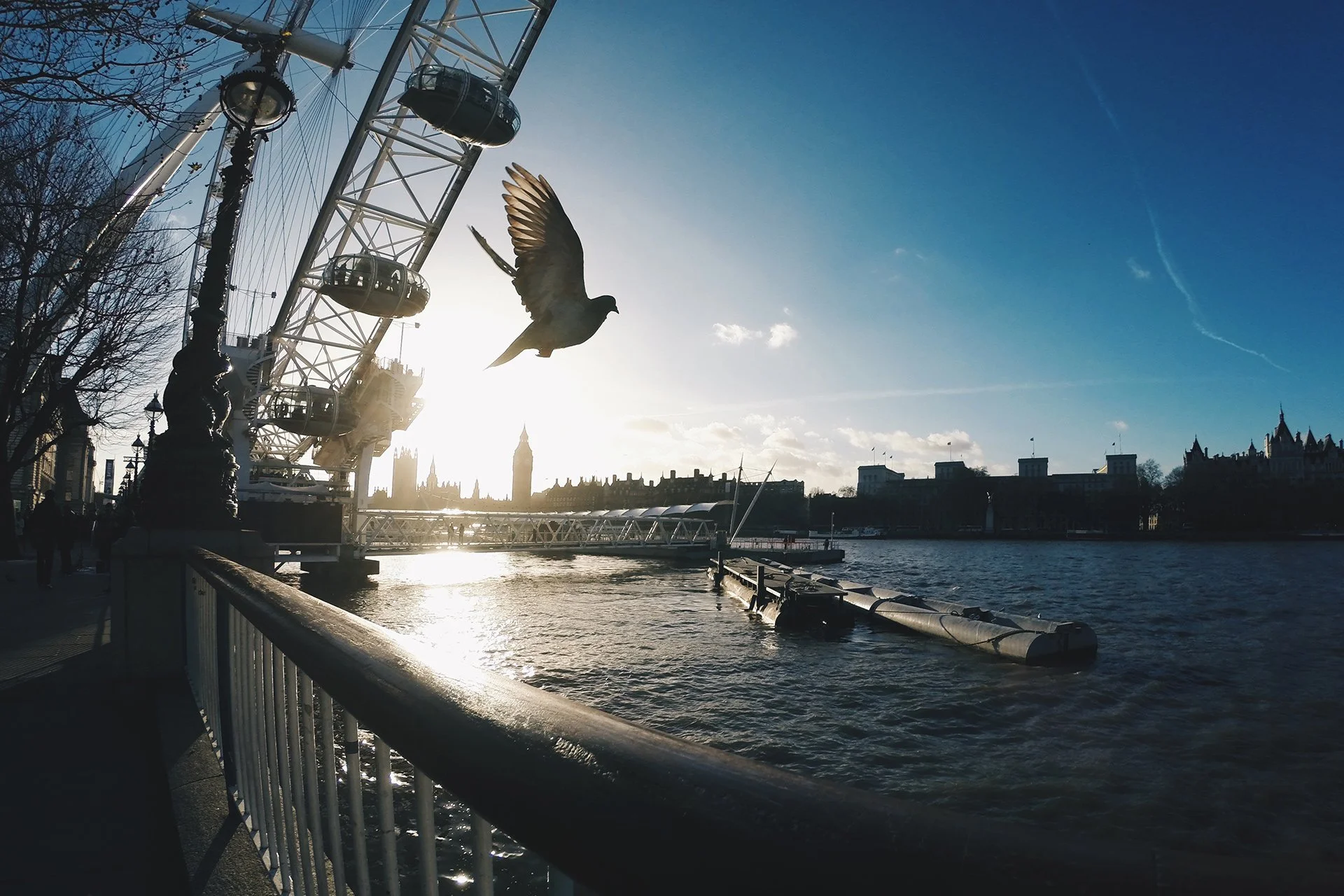 05-London-abisingmin.jpg