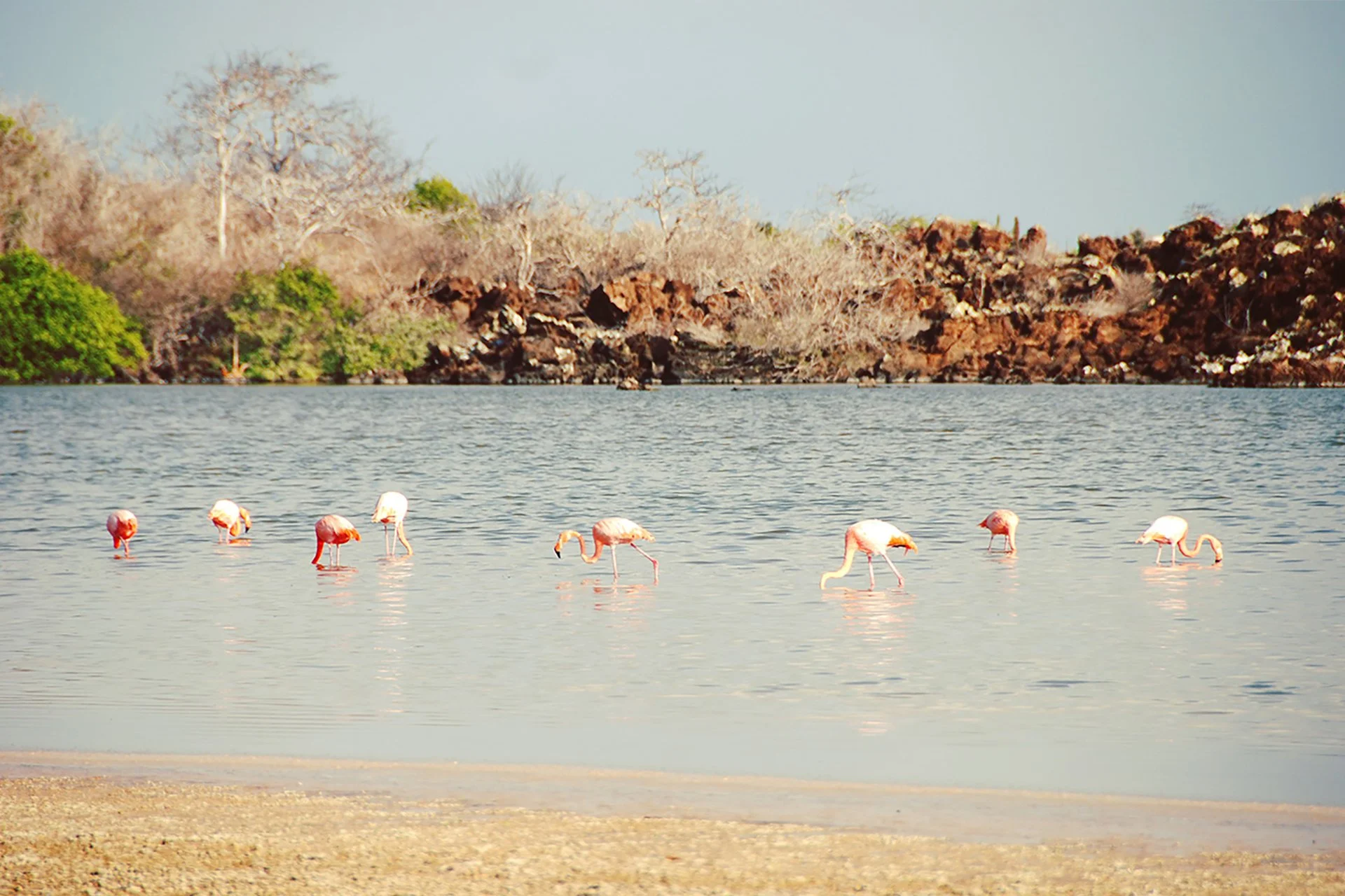 07-Galapagos-abisingmin.jpg