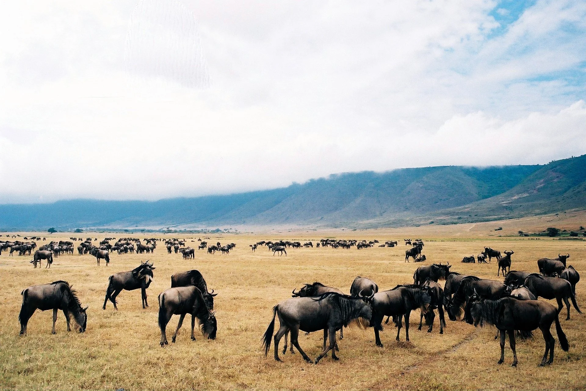 The Ngorongoro Crater, Arusha, Tanzania