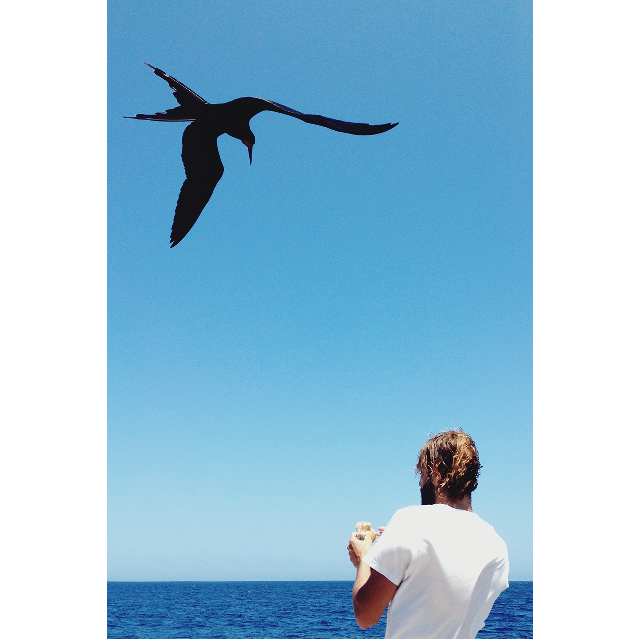 18-Galapagos-abisingmin_B.png