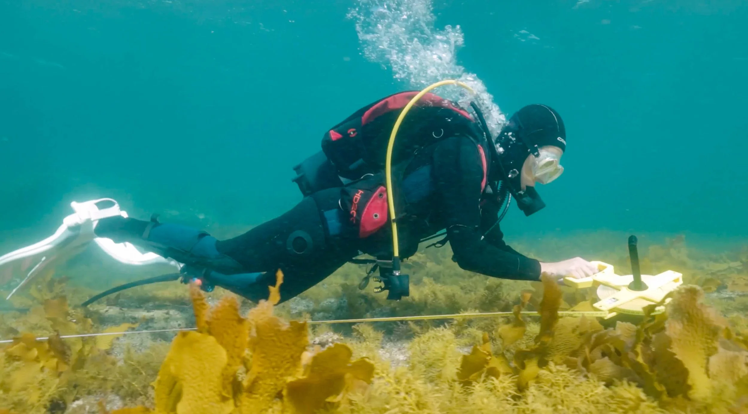 Screen Shot 2023-06-25 at 12.28.53 pm.jpg