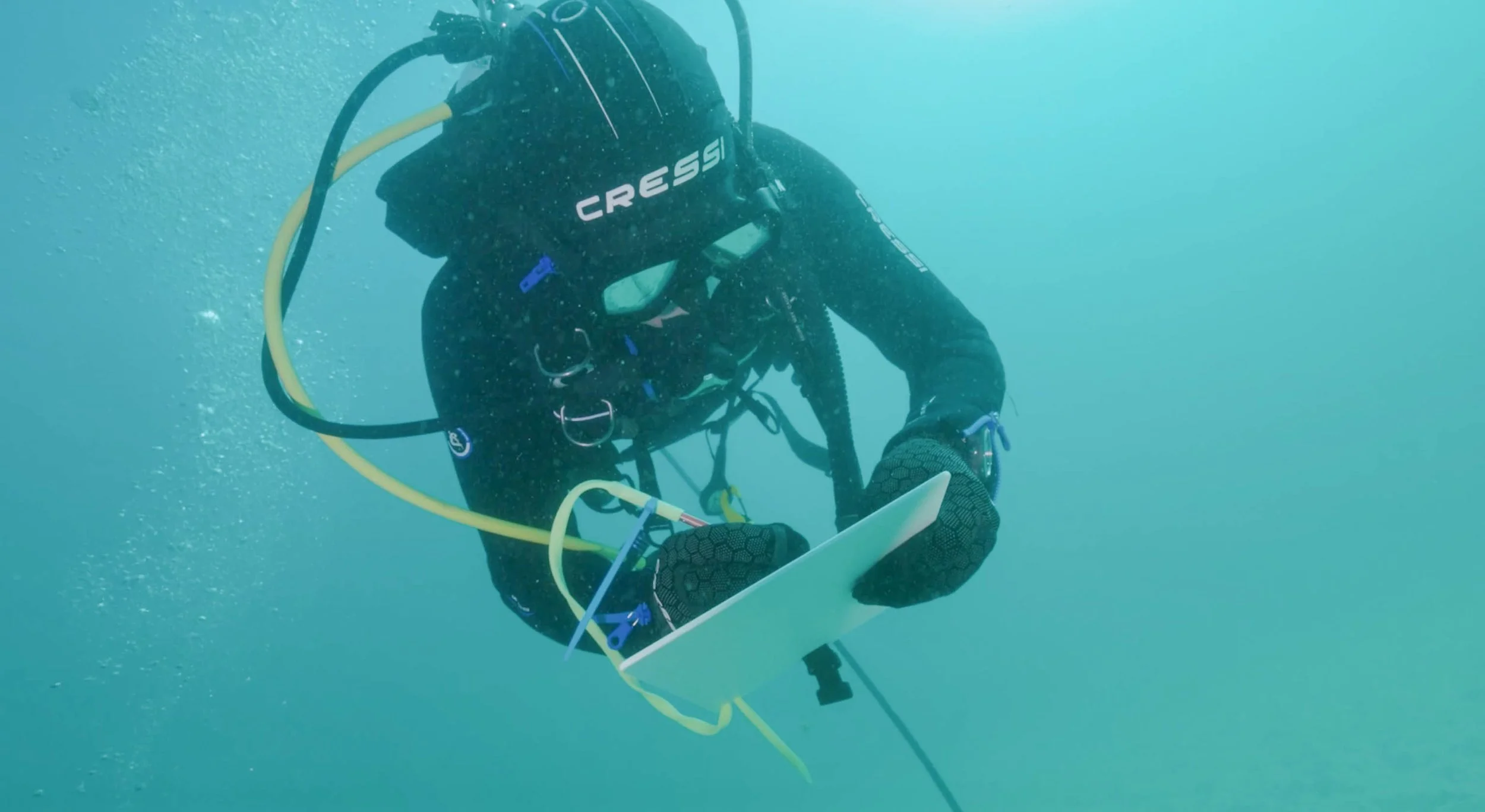 Screen Shot 2023-06-25 at 12.29.49 pm.jpg