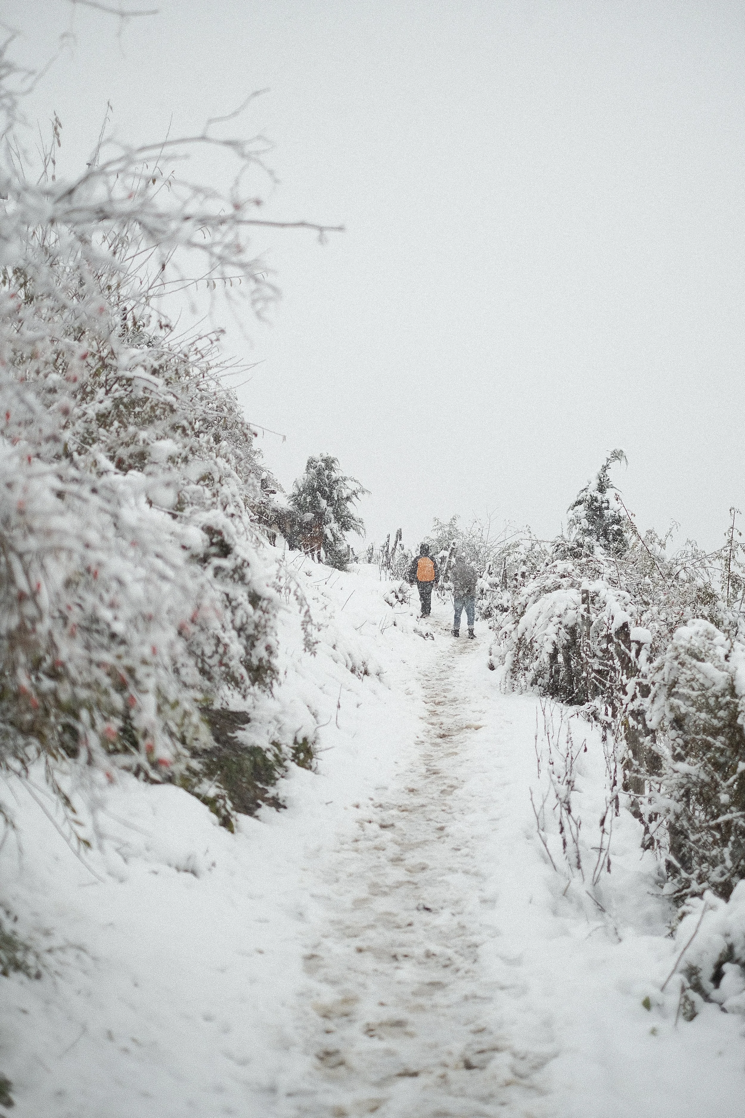 Day 3 - Departing from Laya