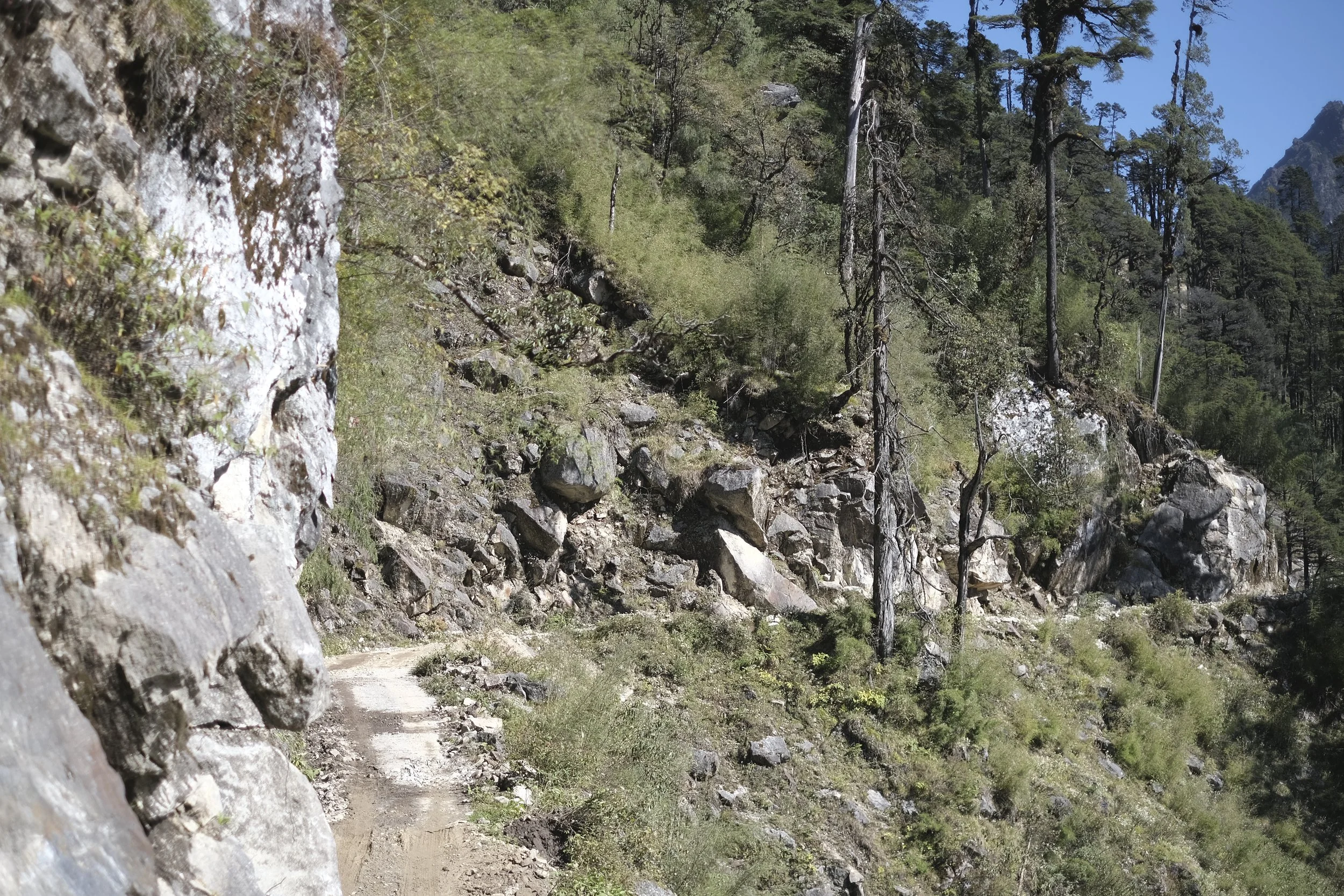 Farm road from Gasa to Laya