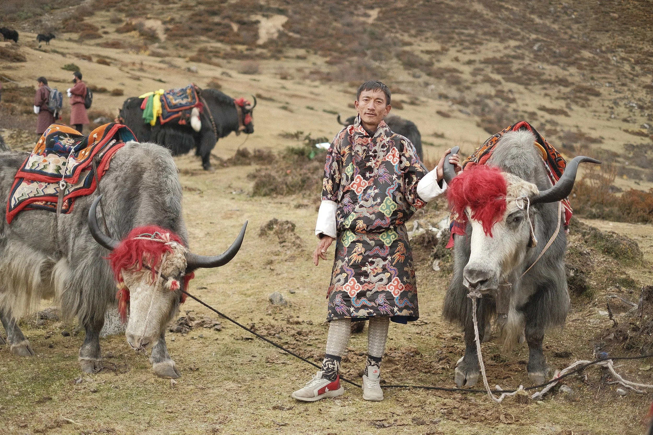 Winner of Yak Costume Competition