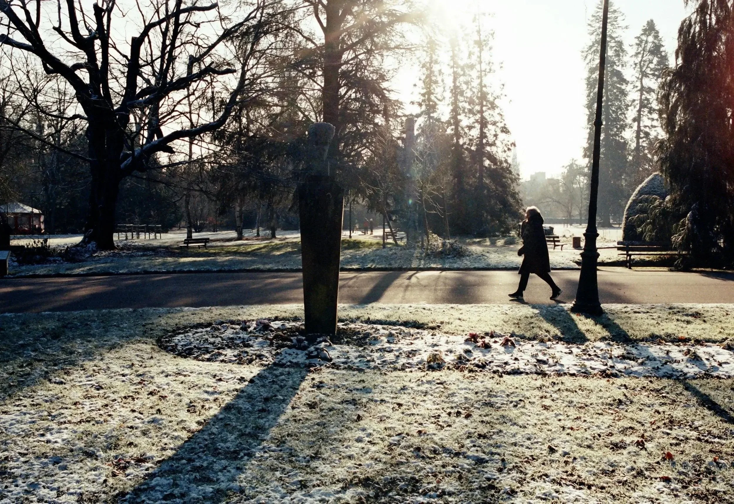 Person mowing lawn in Illinois during fall, deciding when to stop mowing grass
