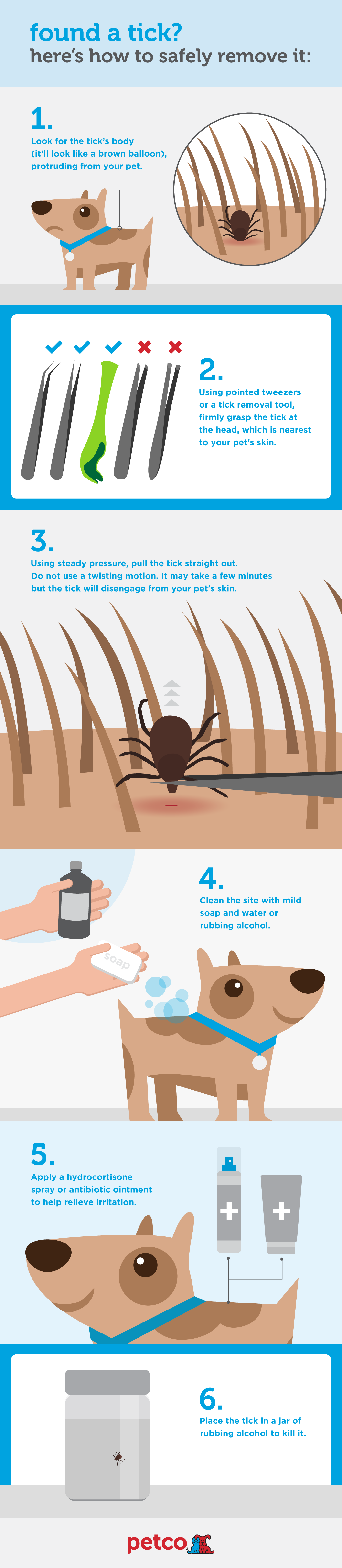 Petco-How-to-Remove-a-Tick.v1.png