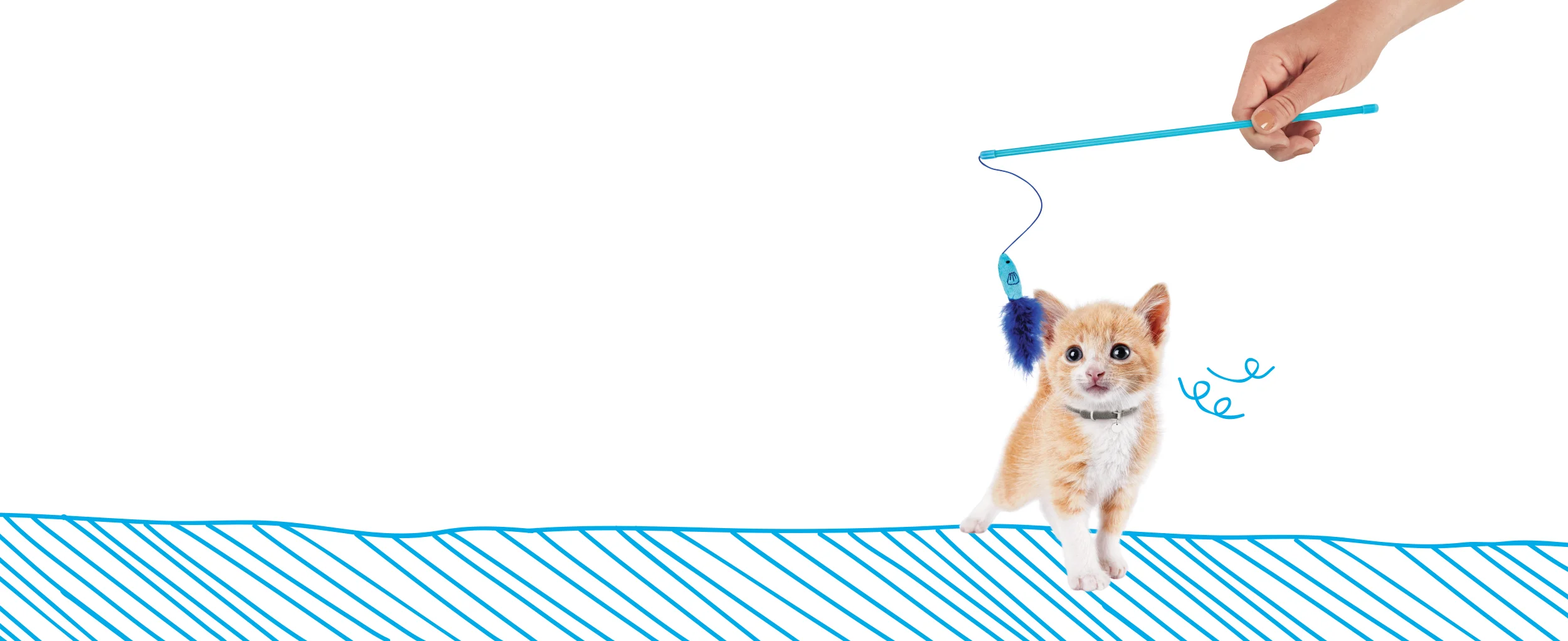 PetcoFoundation_VanWrap_cat.jpg