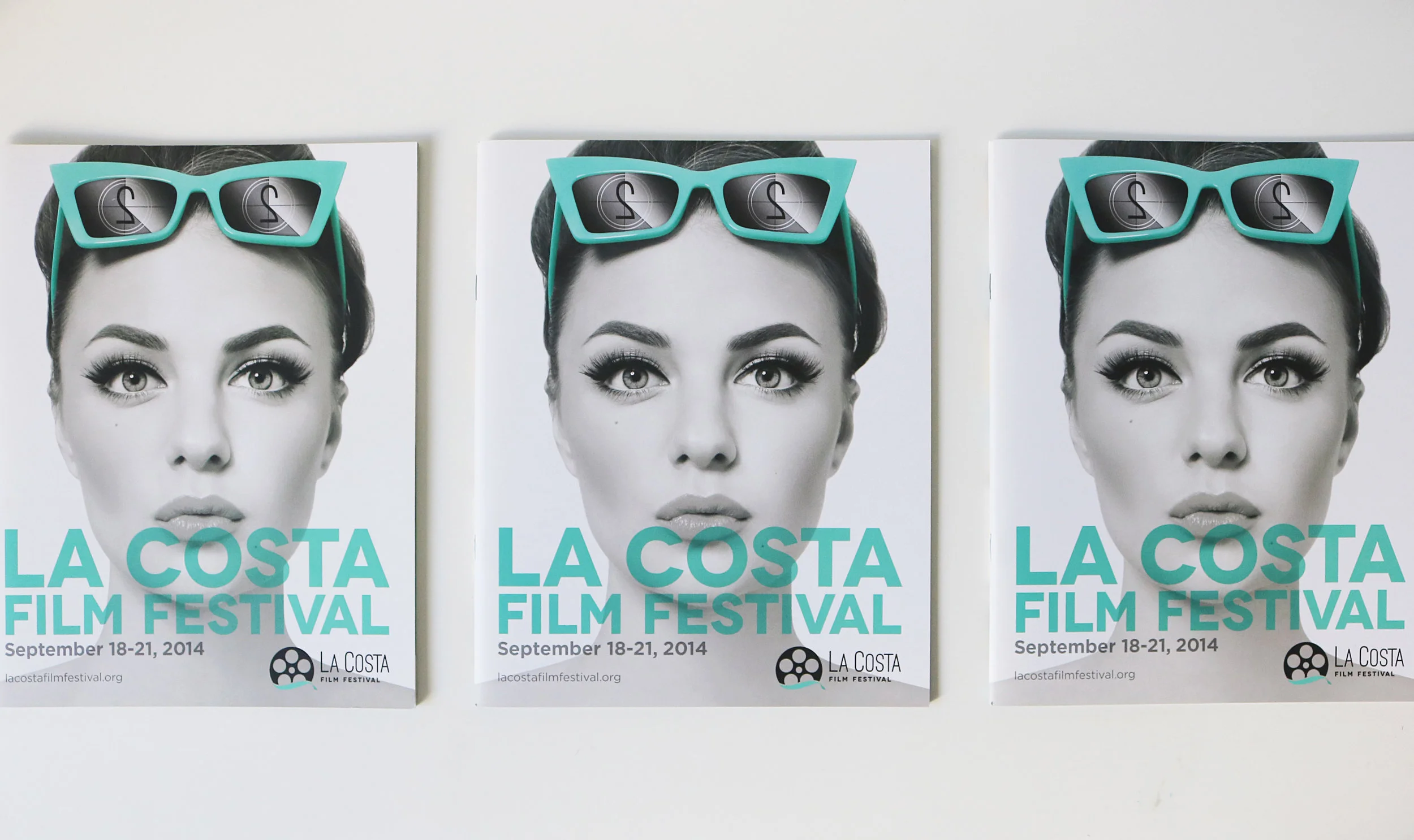 LCFF_catalog.jpg