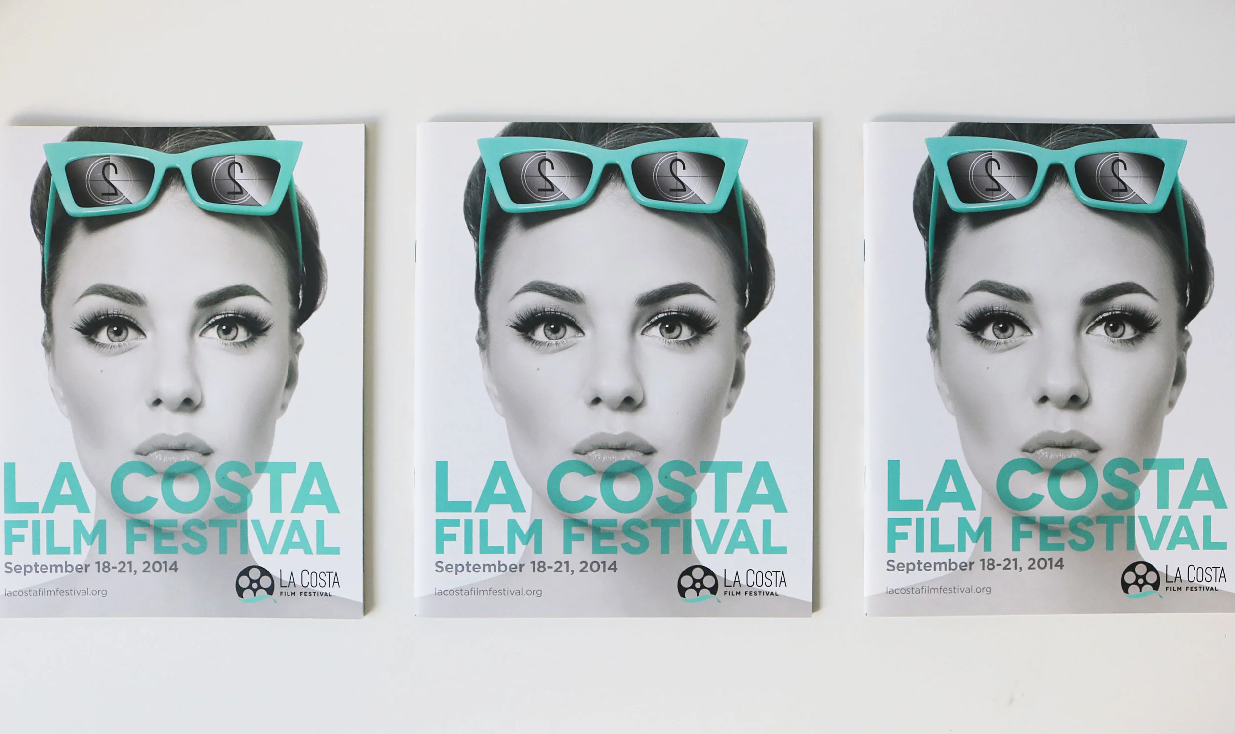 LCFF_catalog.b.jpg