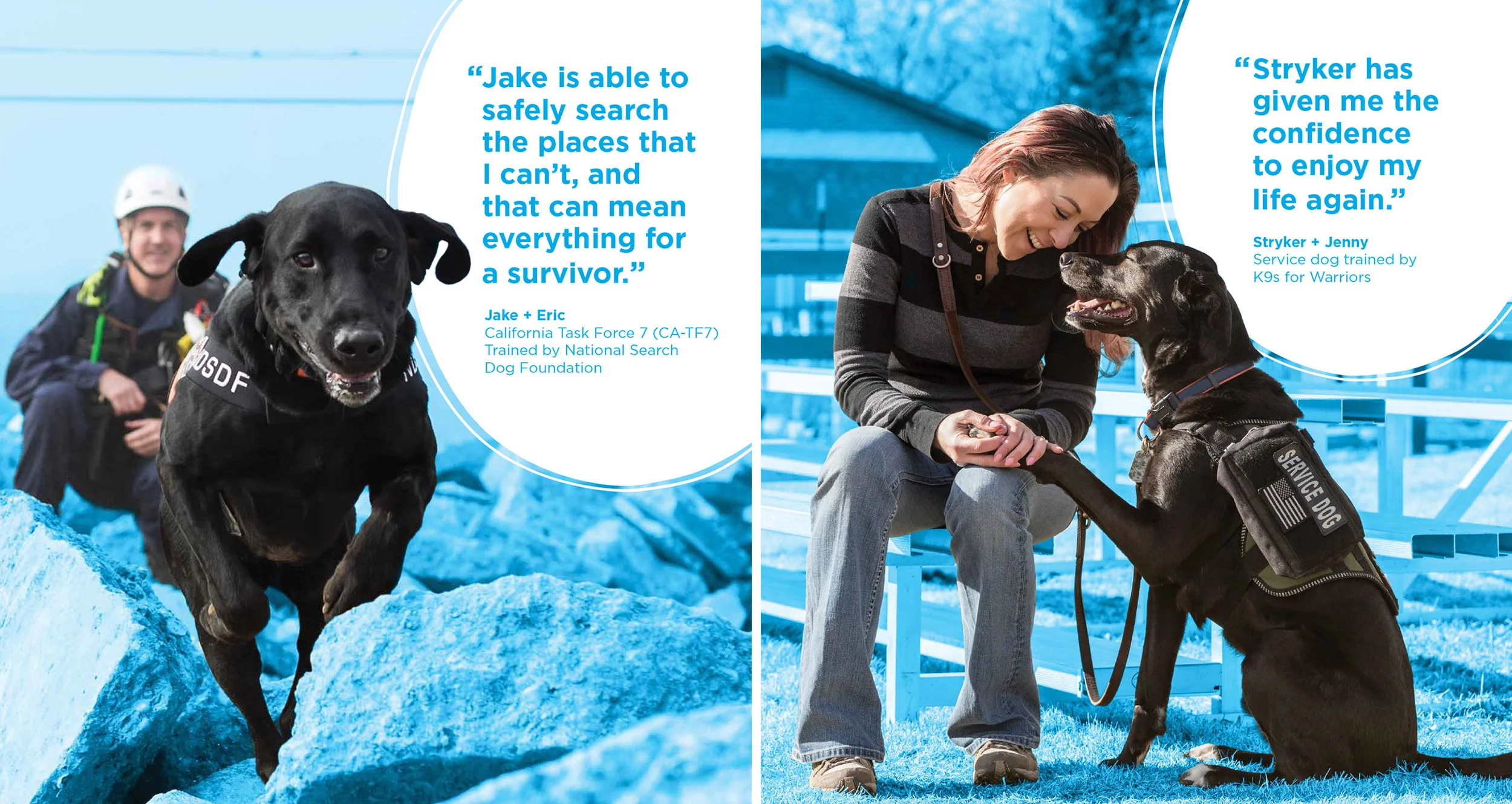 Petco-HH-posters.jpg