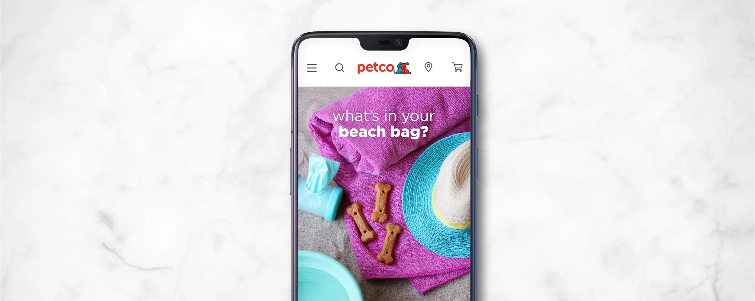 petco-blog-content-beachbag.jpg