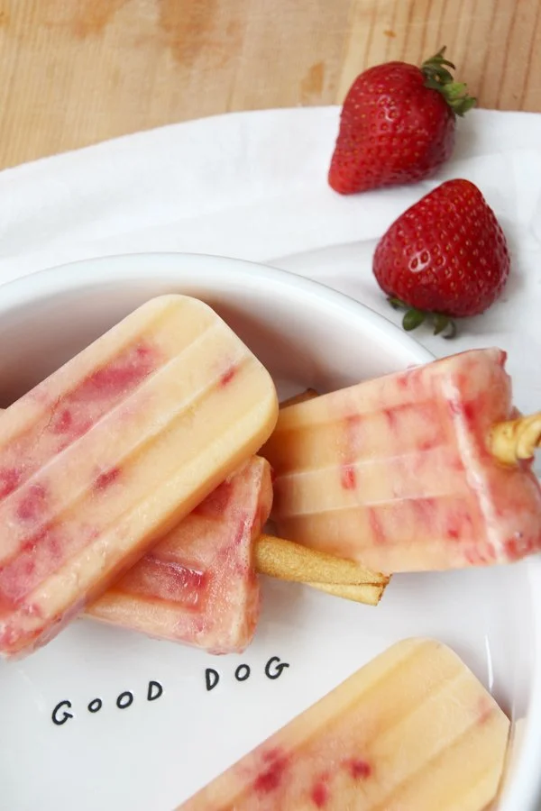 petco-strawberry-orange-popsicle-for-dogs-5.jpg