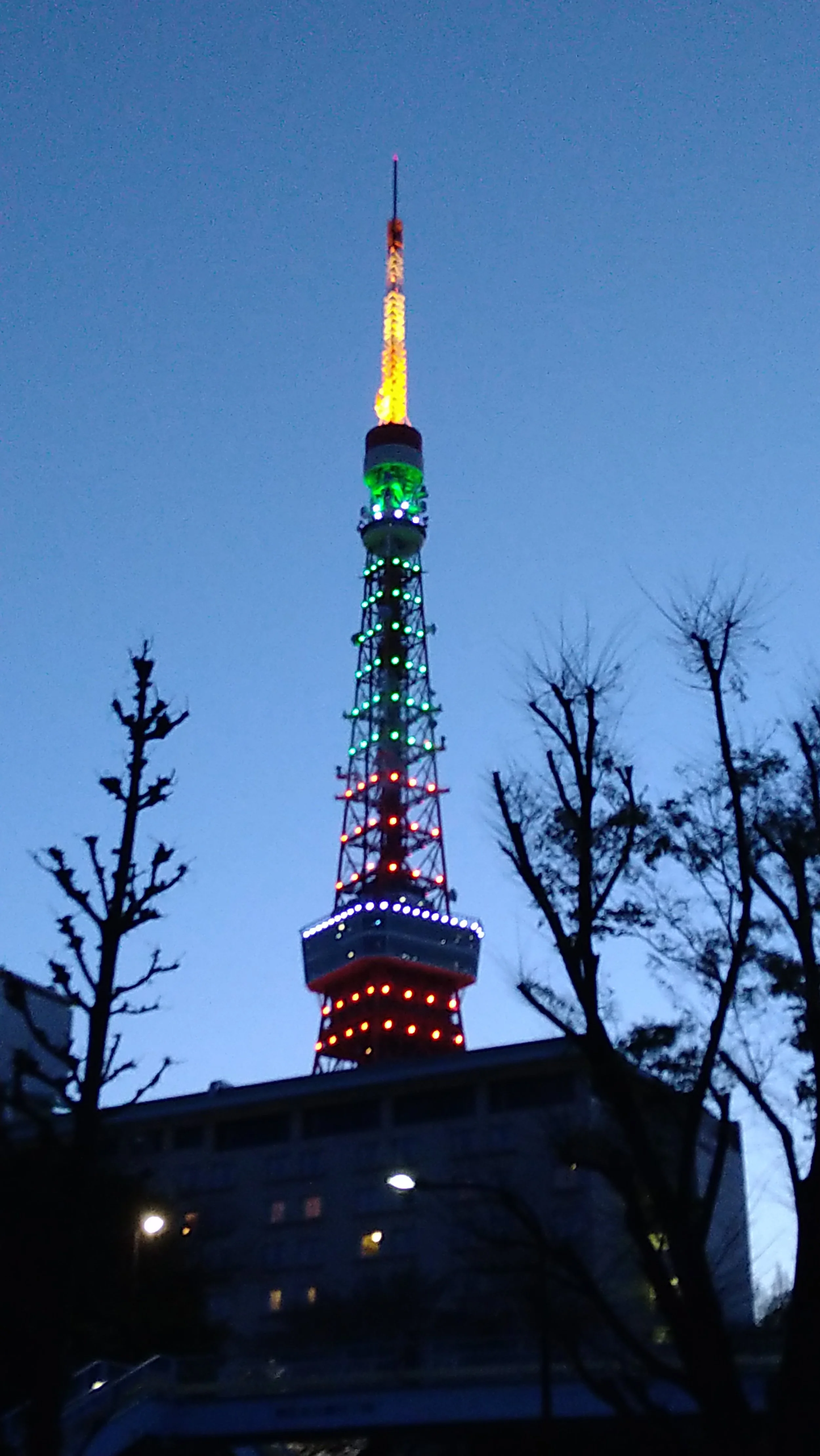 Tokyo Tower illuminated in rainbow colors at dusk, rising above bare winter branches against a deep blue Tokyo sky.