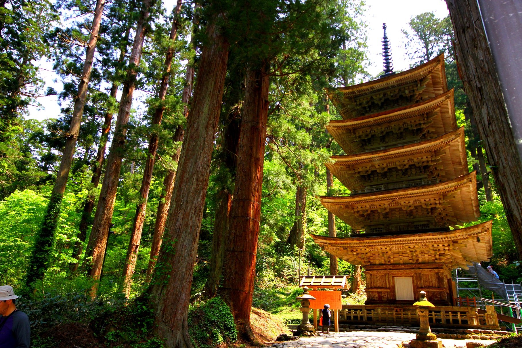 Five-story pagoda of Mount Haguro, a National Treasure, standing among towering ancient cedar trees in Tsuruoka, Yamagata.
