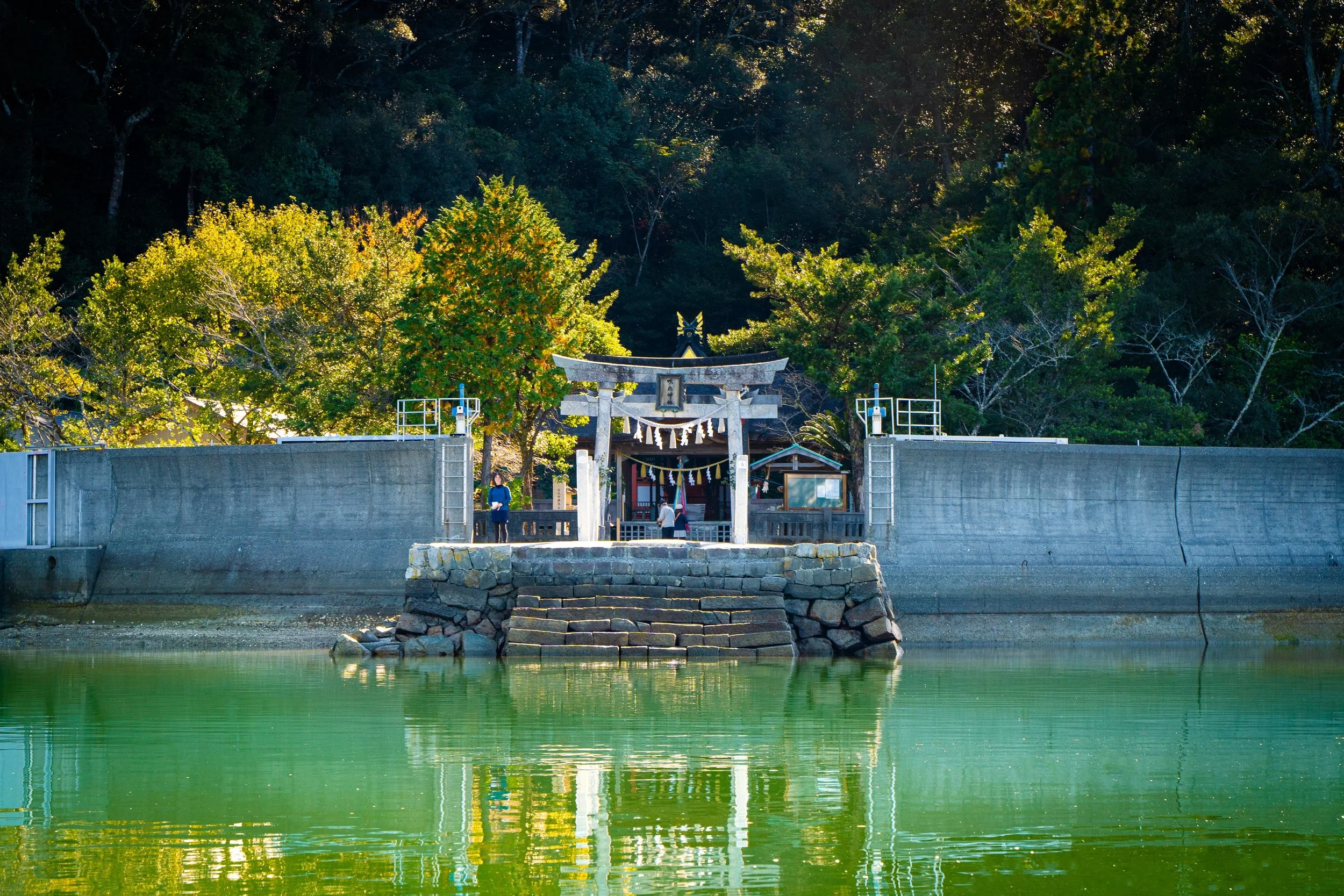 A stone pier torii gate of Otonashi Shrine reflected in still green waters — a hidden coastal sanctuary in Kochi, Japan.