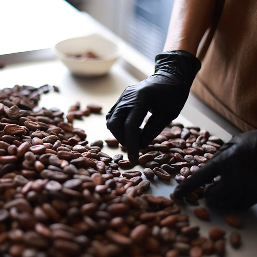 Person wearing black gloves inspecting cacao beans on a table.