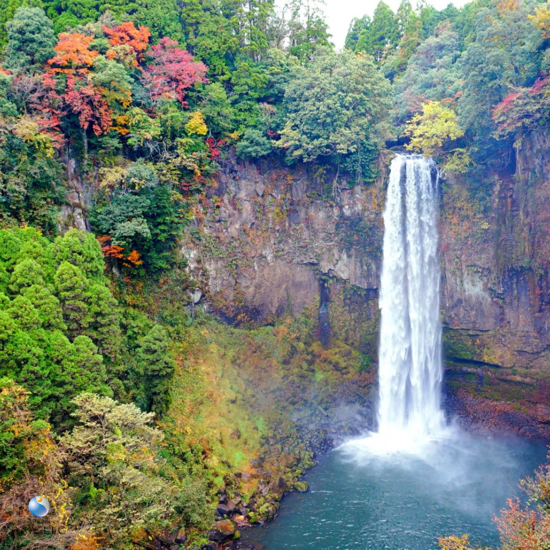 九重“夢”大吊橋 ig-4.png